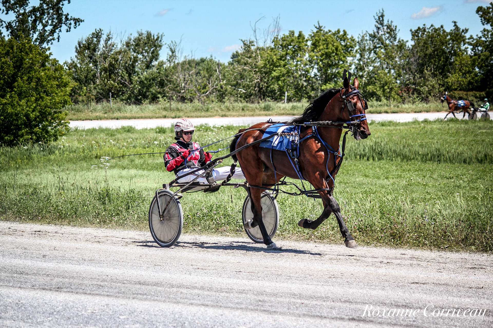 St-Hugues 7 juillet 2018 (79).jpg