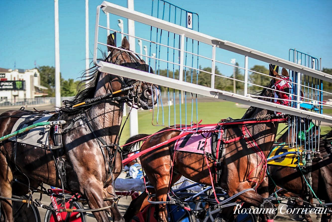 H3R 9 septembre 2018 (370).jpg