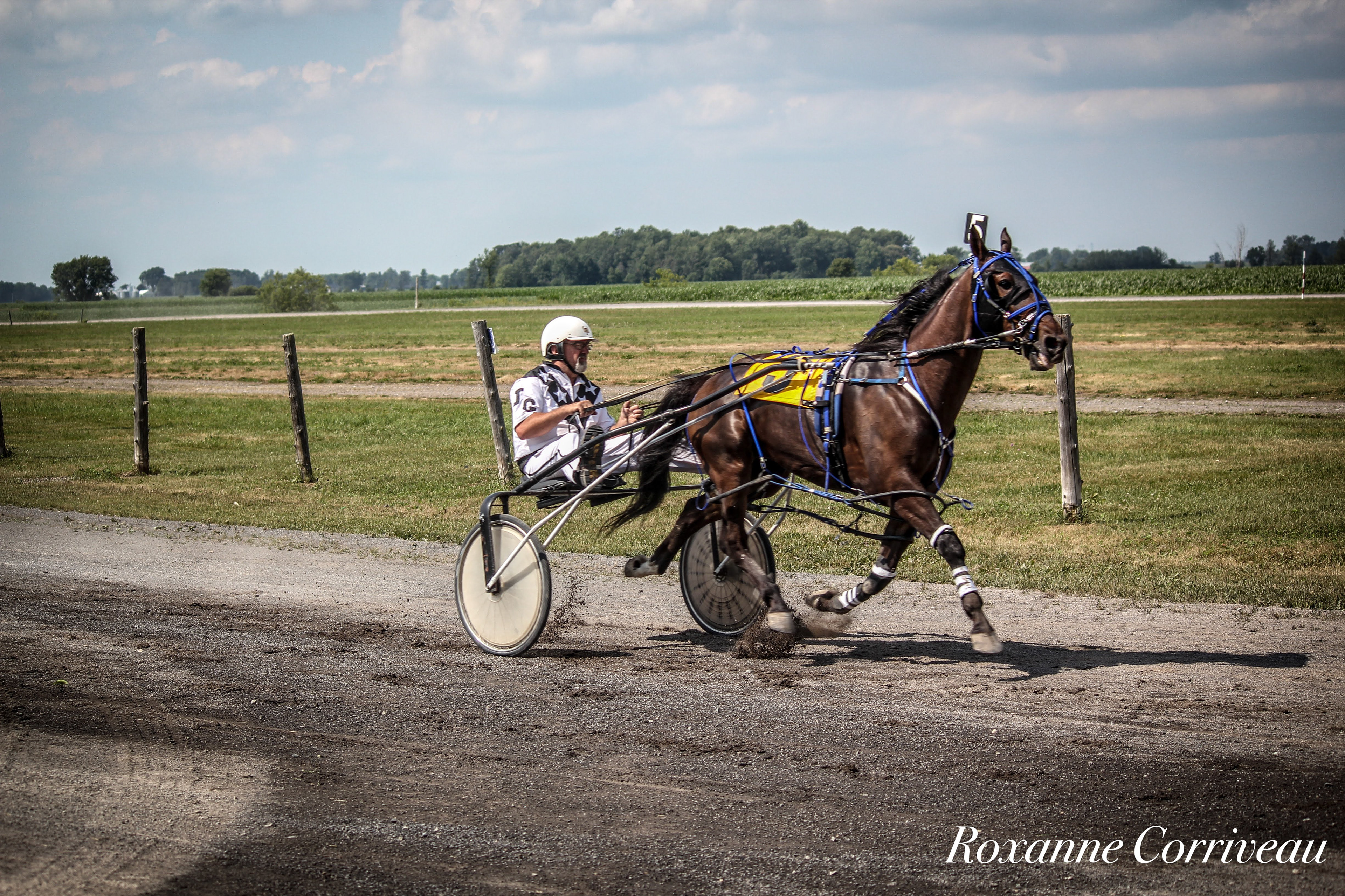 Ormstown 14 juillet 2018 (123).jpg