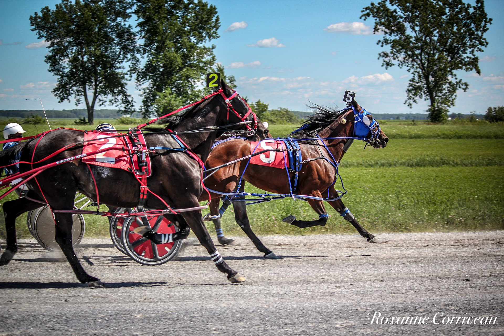St-Hugues 7 juillet 2018 (129).jpg
