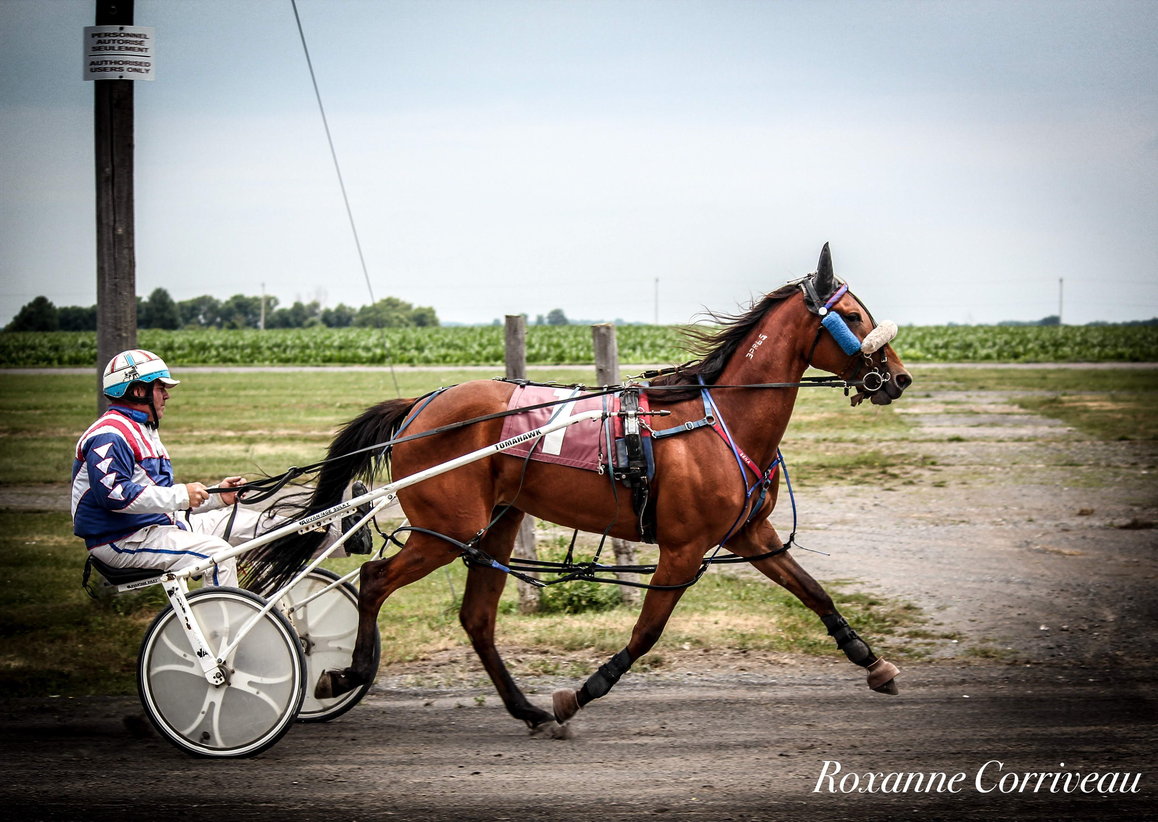 Ormstown 14 juillet 2018 (6).jpg