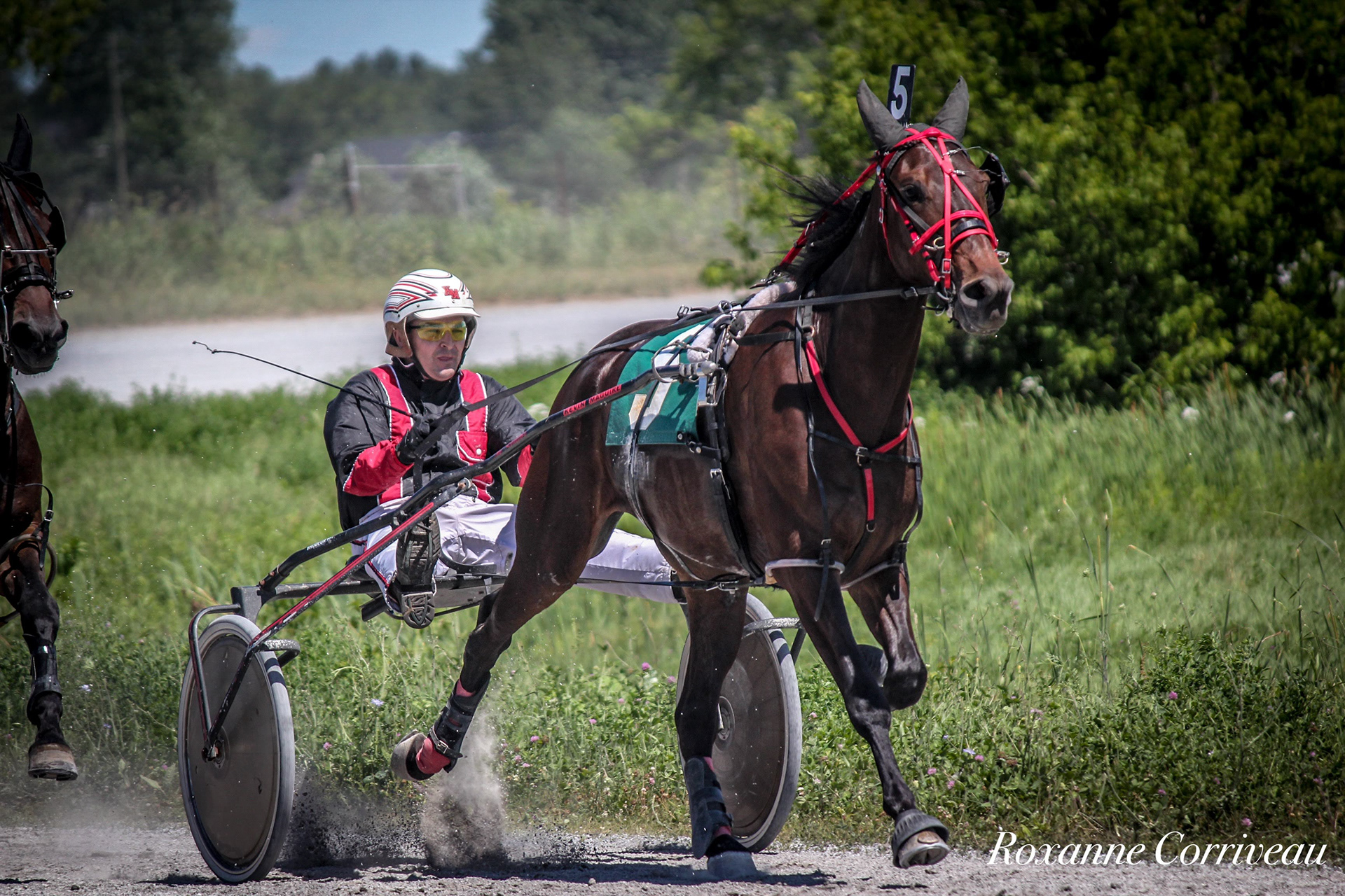 St-Hugues 7 juillet 2018 (101).jpg
