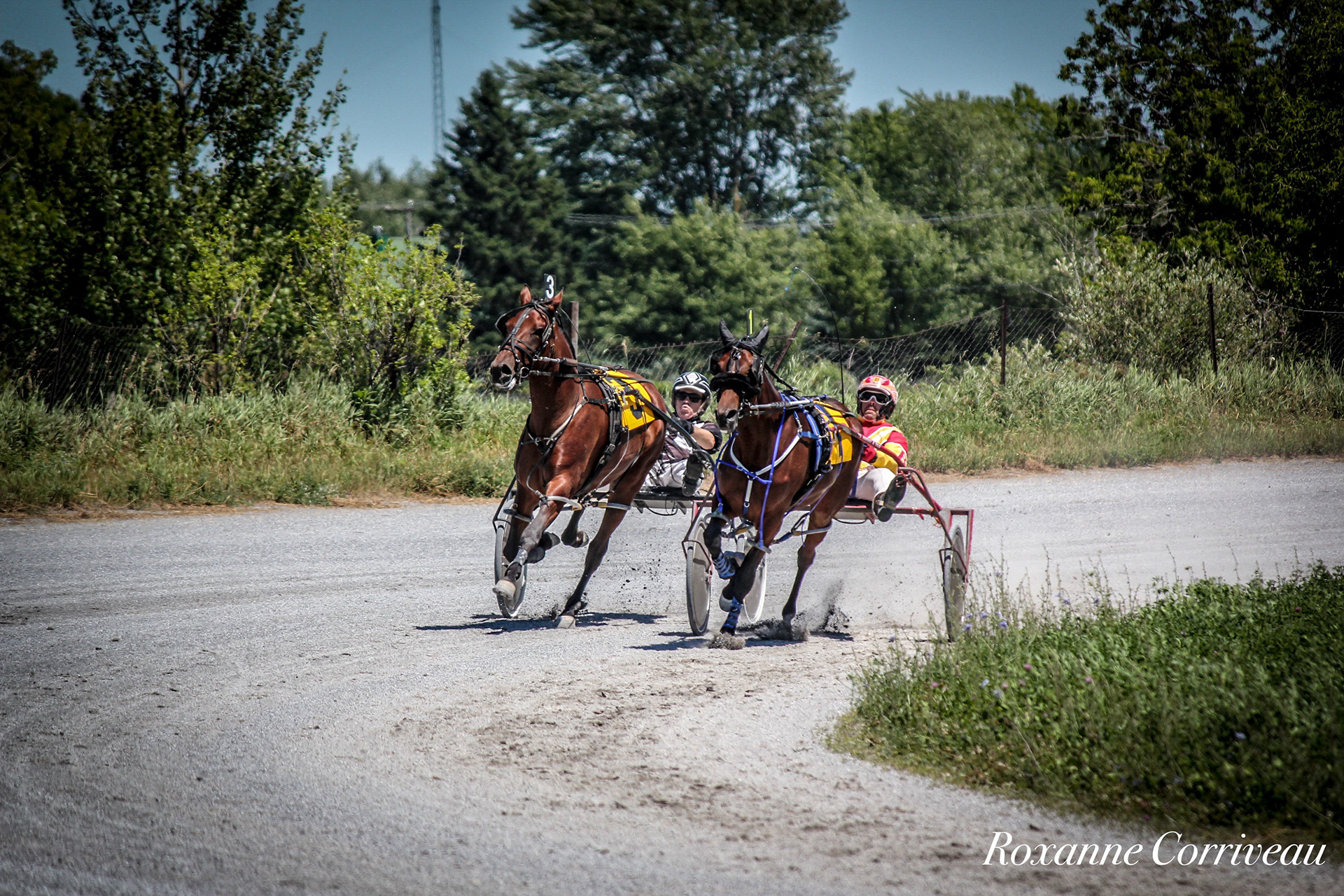 St-Hugues 7 juillet 2018 (70).jpg
