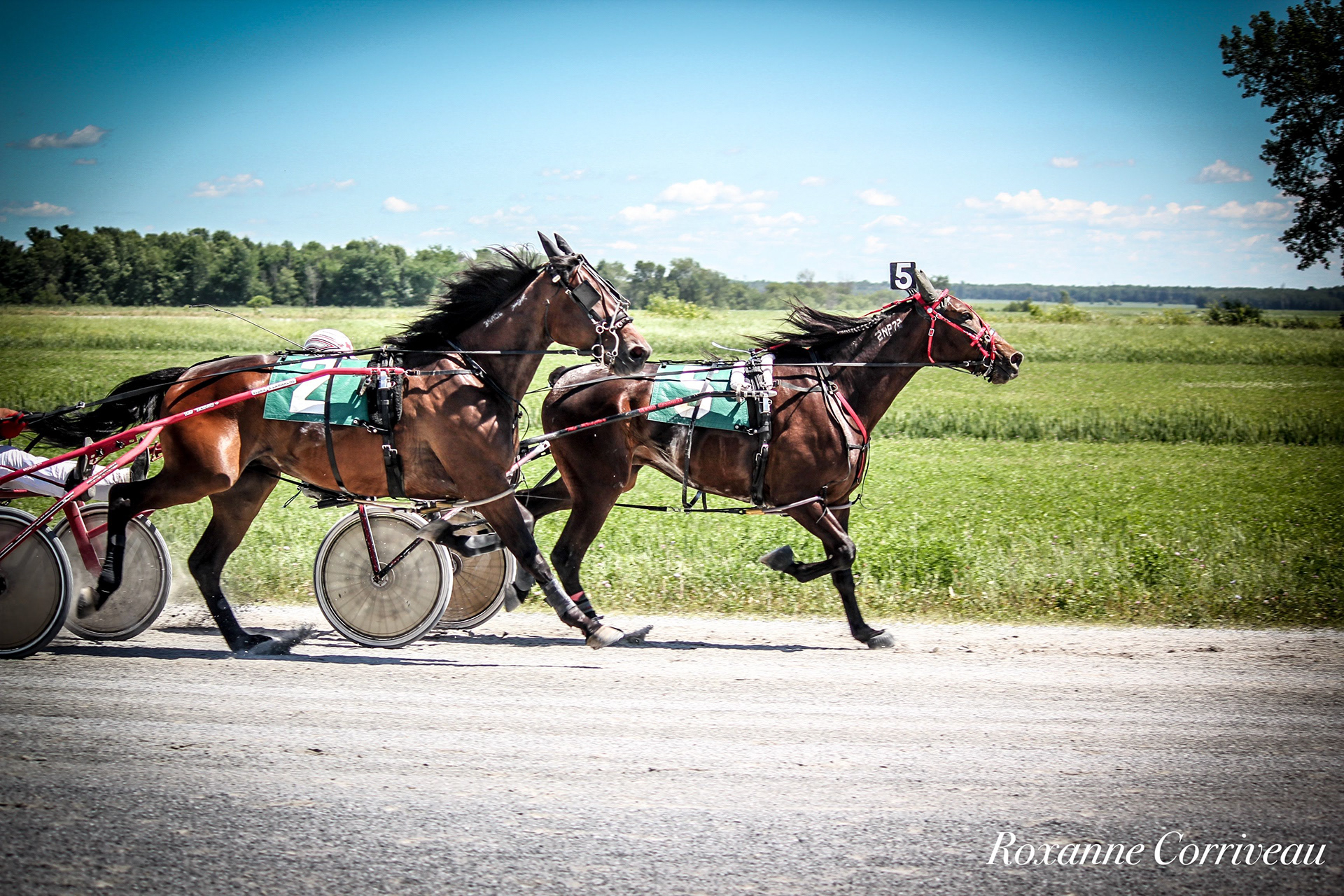 St-Hugues 7 juillet 2018 (107).jpg