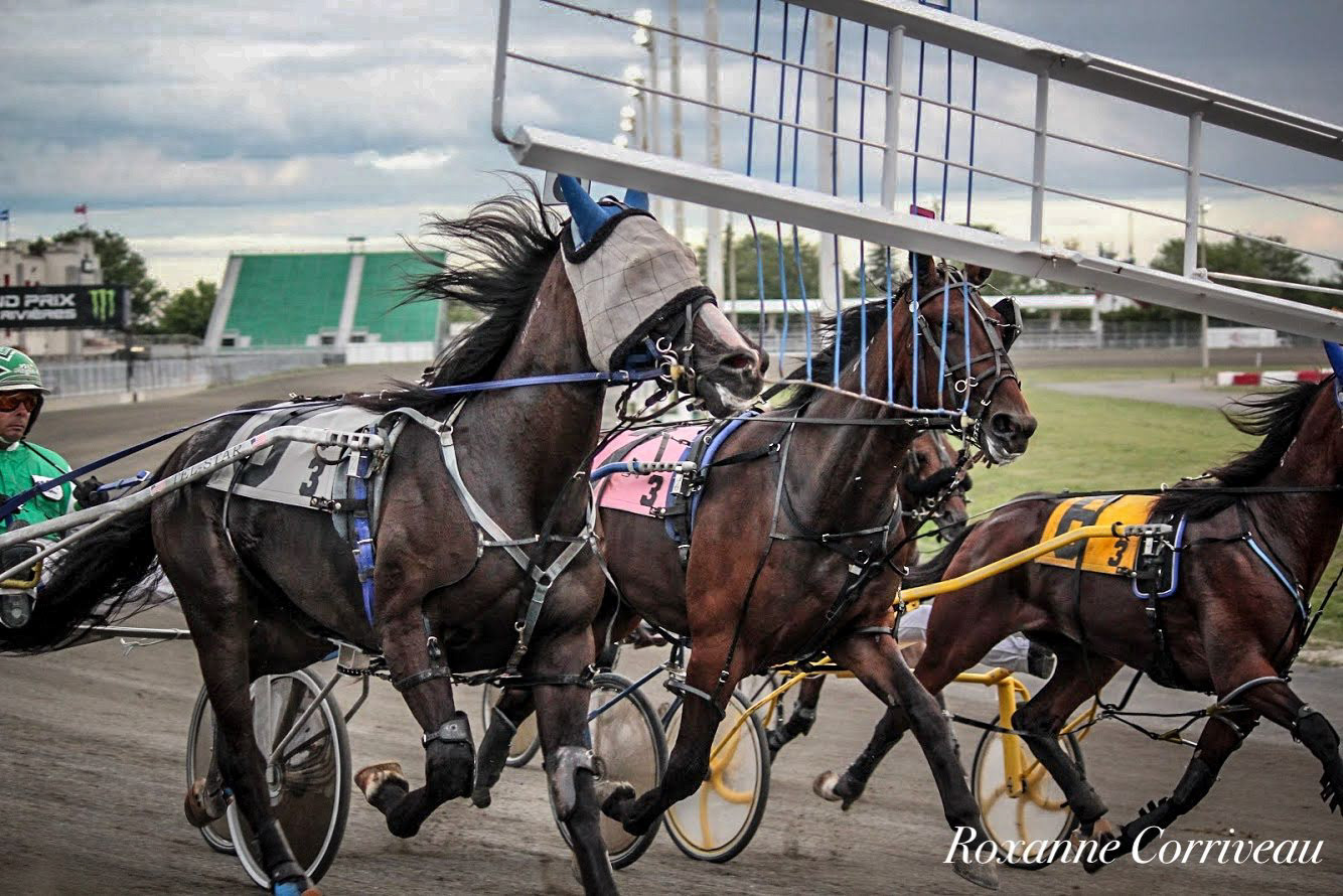 H3R 25 juillet 2018 (51)jpg