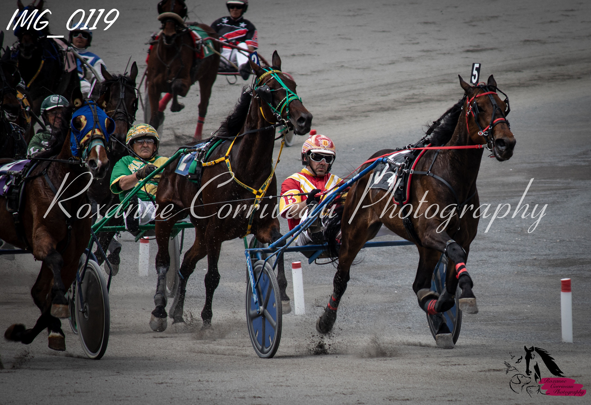 Libero Hanover