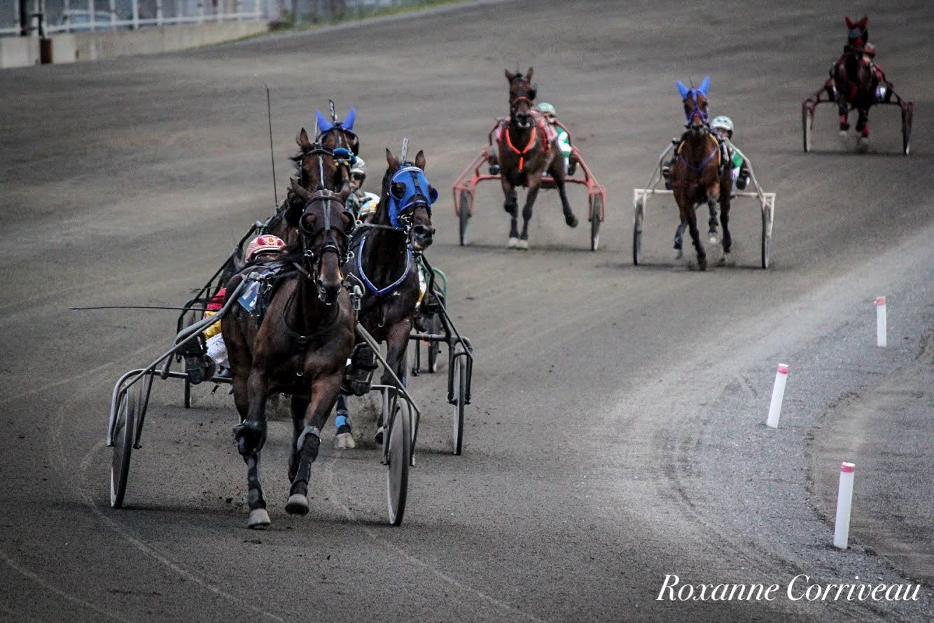 H3R 25 juillet 2018 (102)jpg