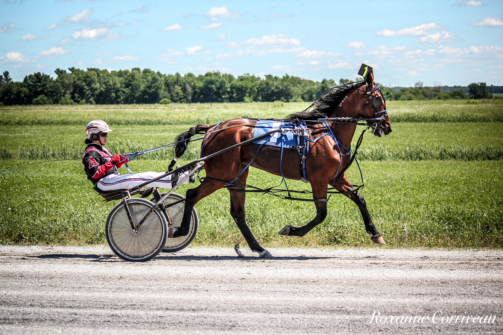 St-Hugues 7 juillet 2018 (81).jpg