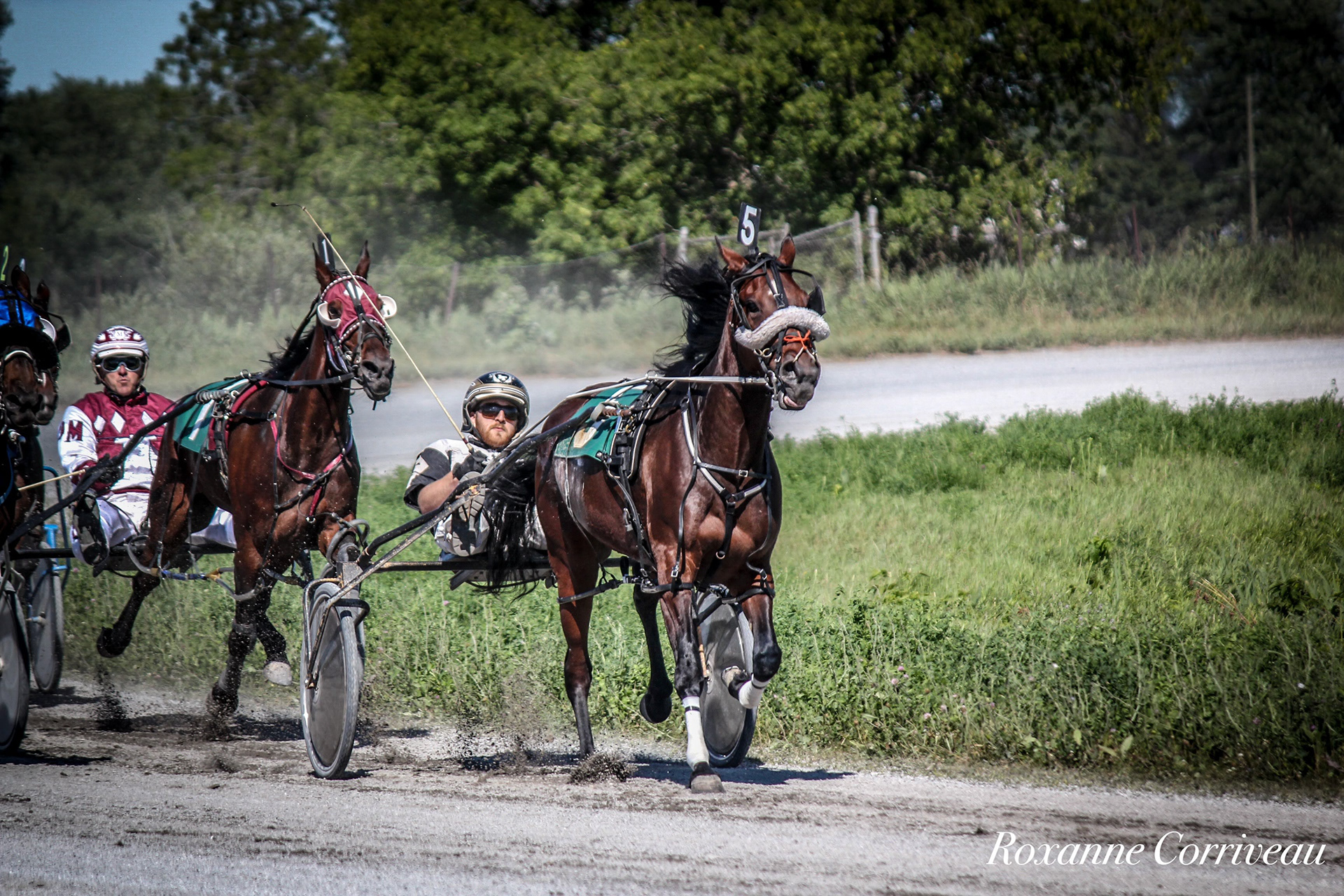 St-Hugues 7 juillet 2018 (203).jpg