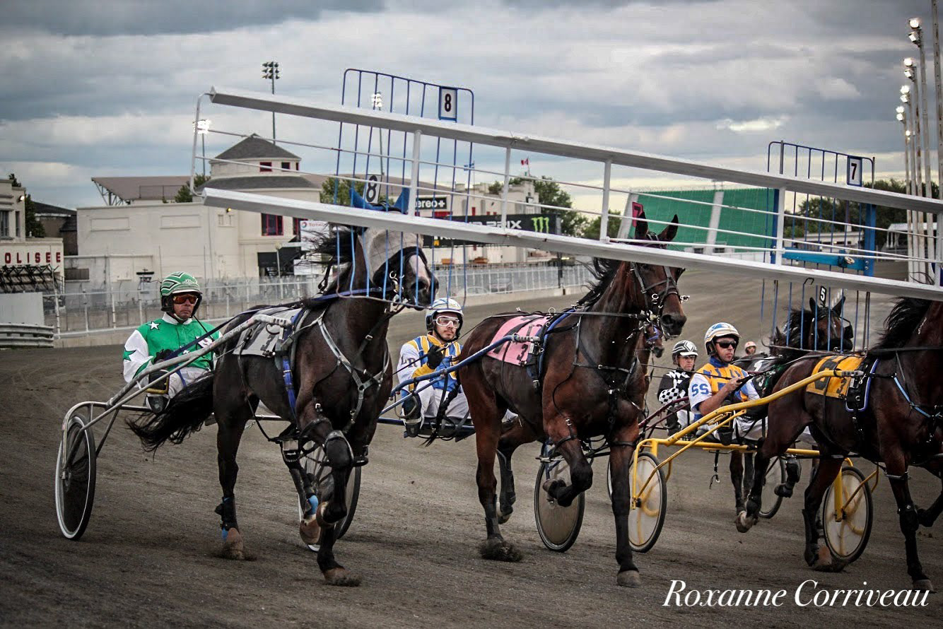 H3R 25 juillet 2018 (50)jpg