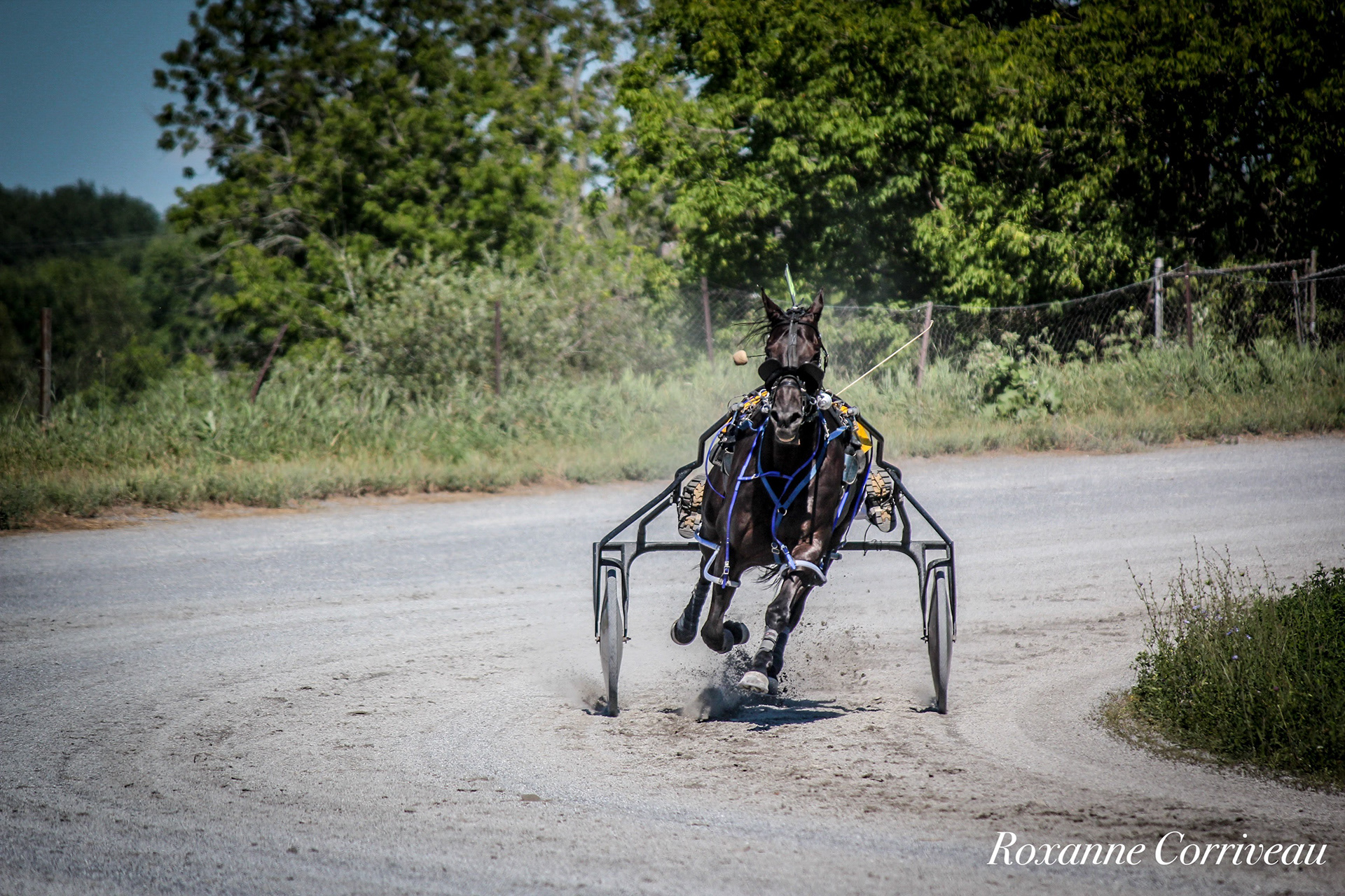 St-Hugues 7 juillet 2018 (153).jpg