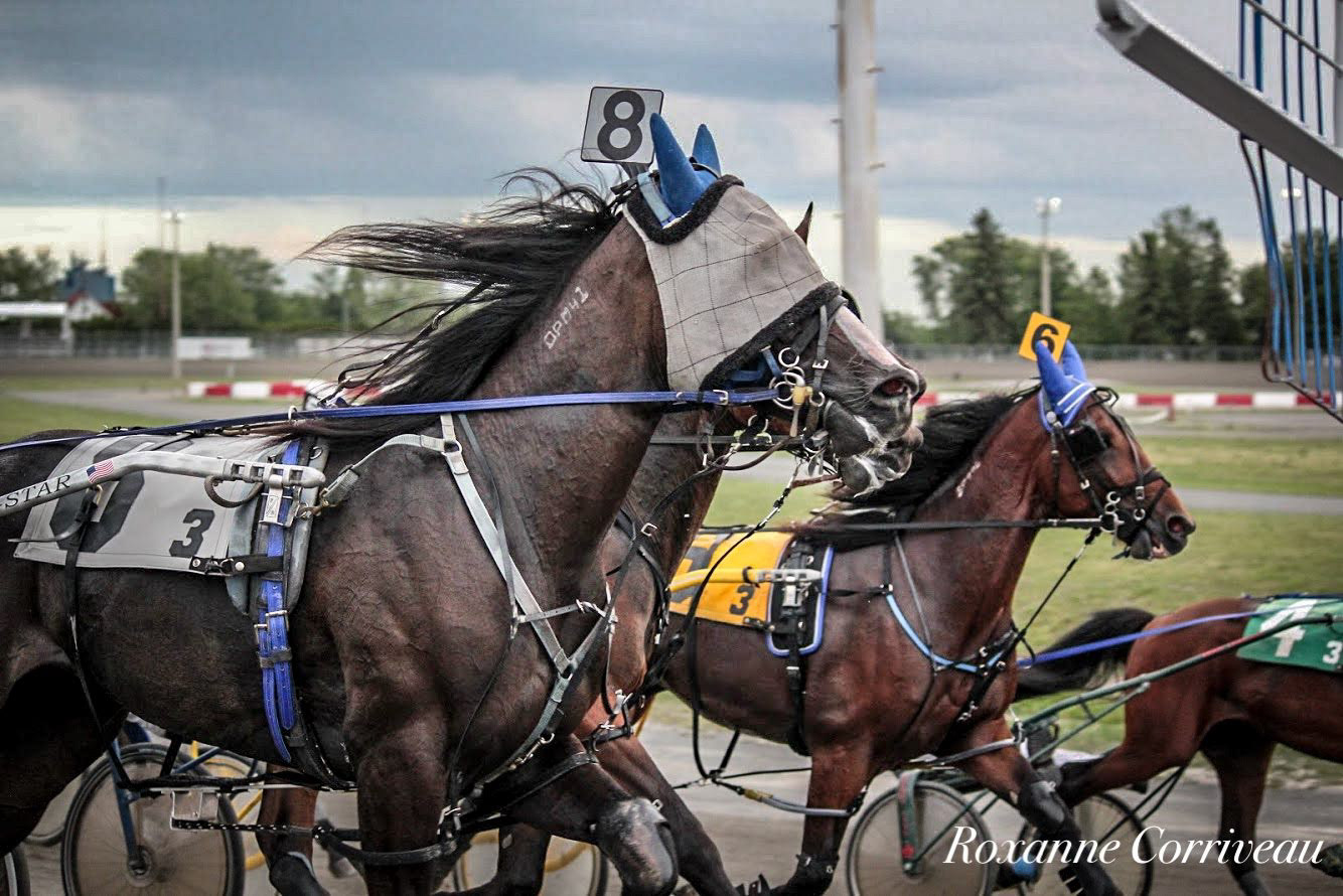 H3R 25 juillet 2018 (52)jpg