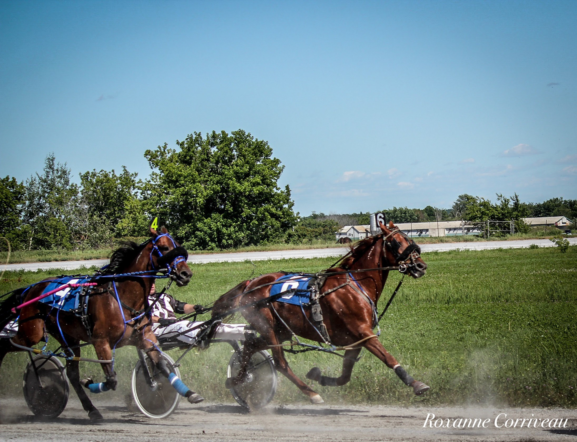 St-Hugues 7 juillet 2018 (181).jpg