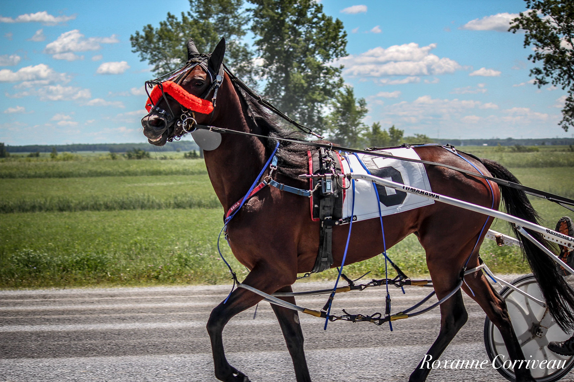 St-Hugues 7 juillet 2018 (33).jpg