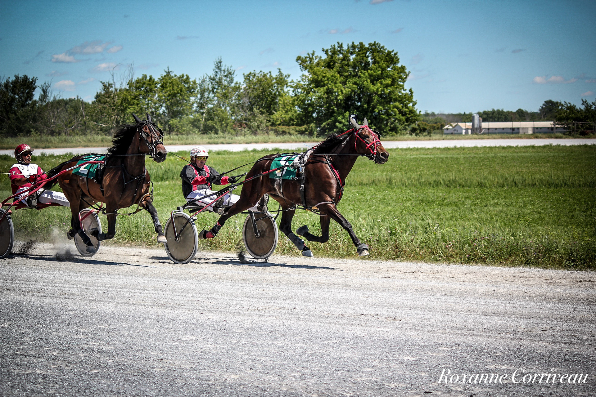 St-Hugues 7 juillet 2018 (105).jpg