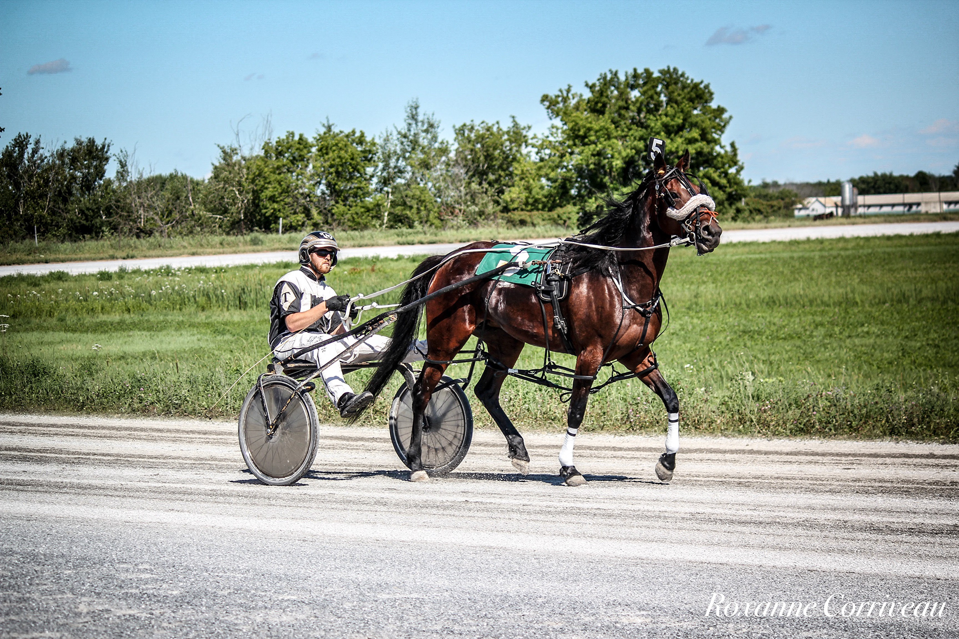 St-Hugues 7 juillet 2018 (192).jpg