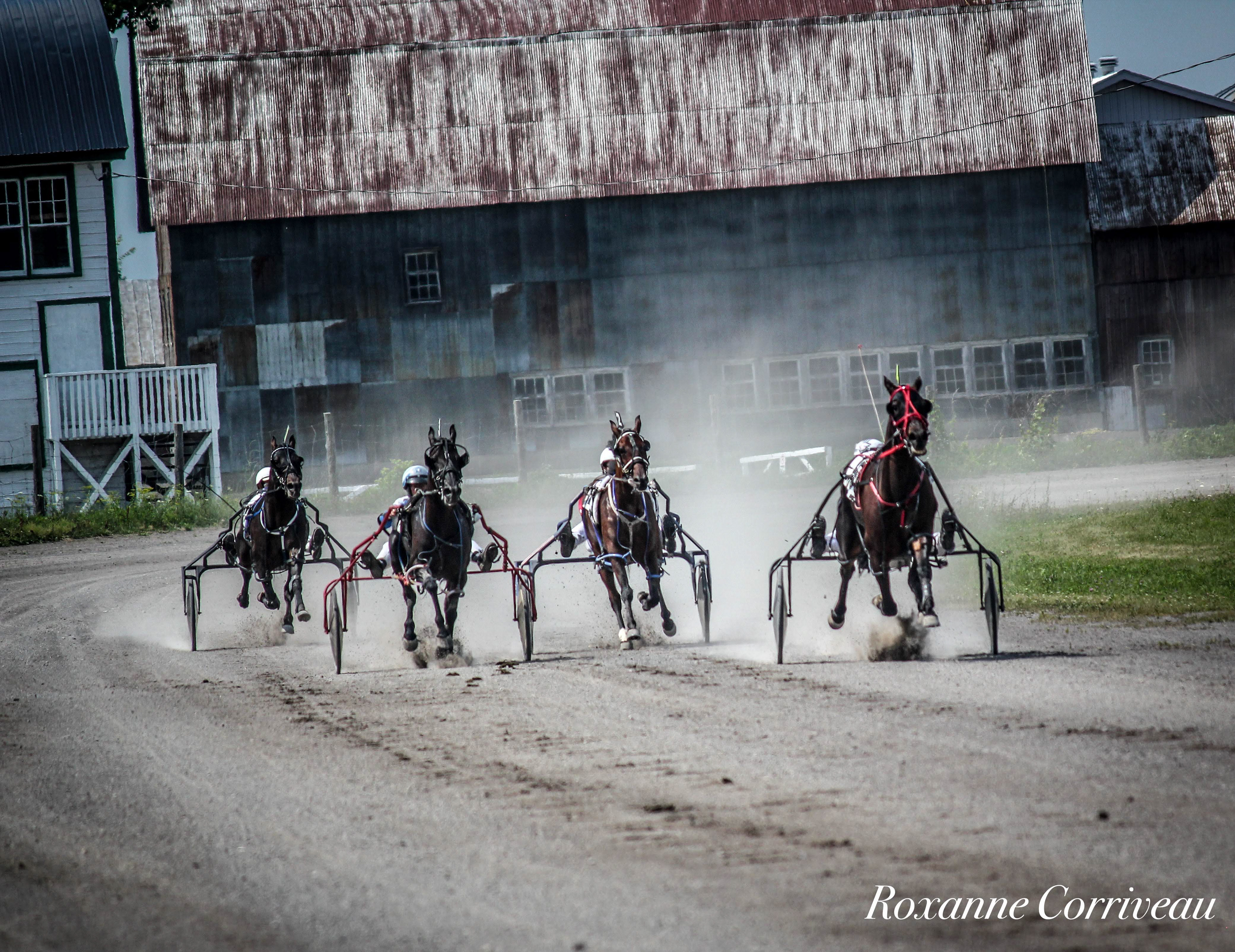 Ormstown 14 juillet 2018 (106).jpg