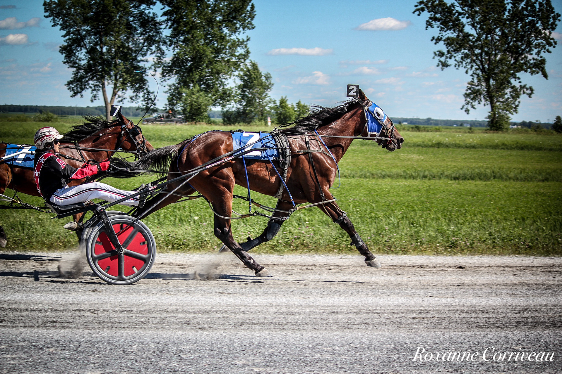St-Hugues 7 juillet 2018 (185).jpg