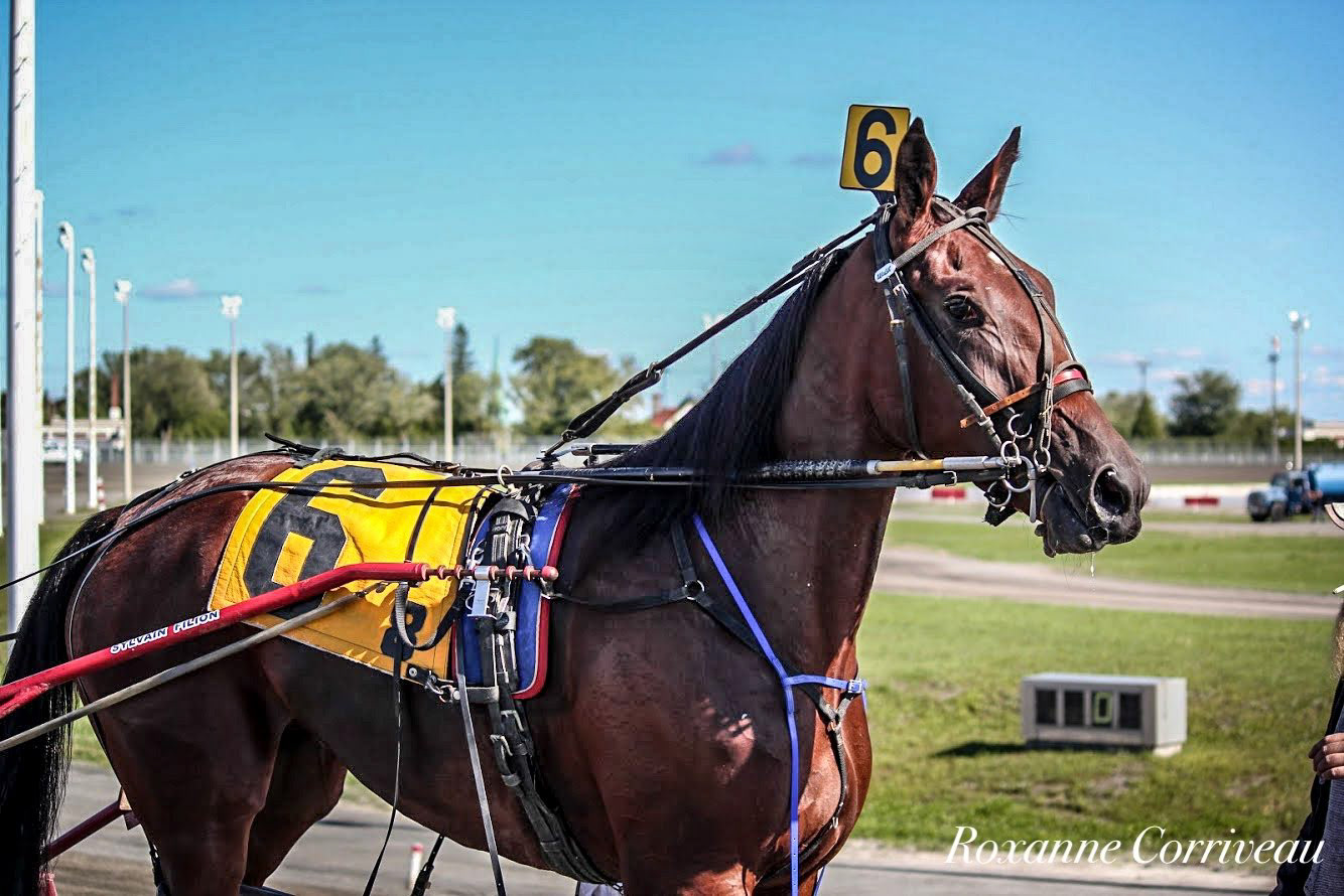 H3R 9 septembre 2018 (269).jpg