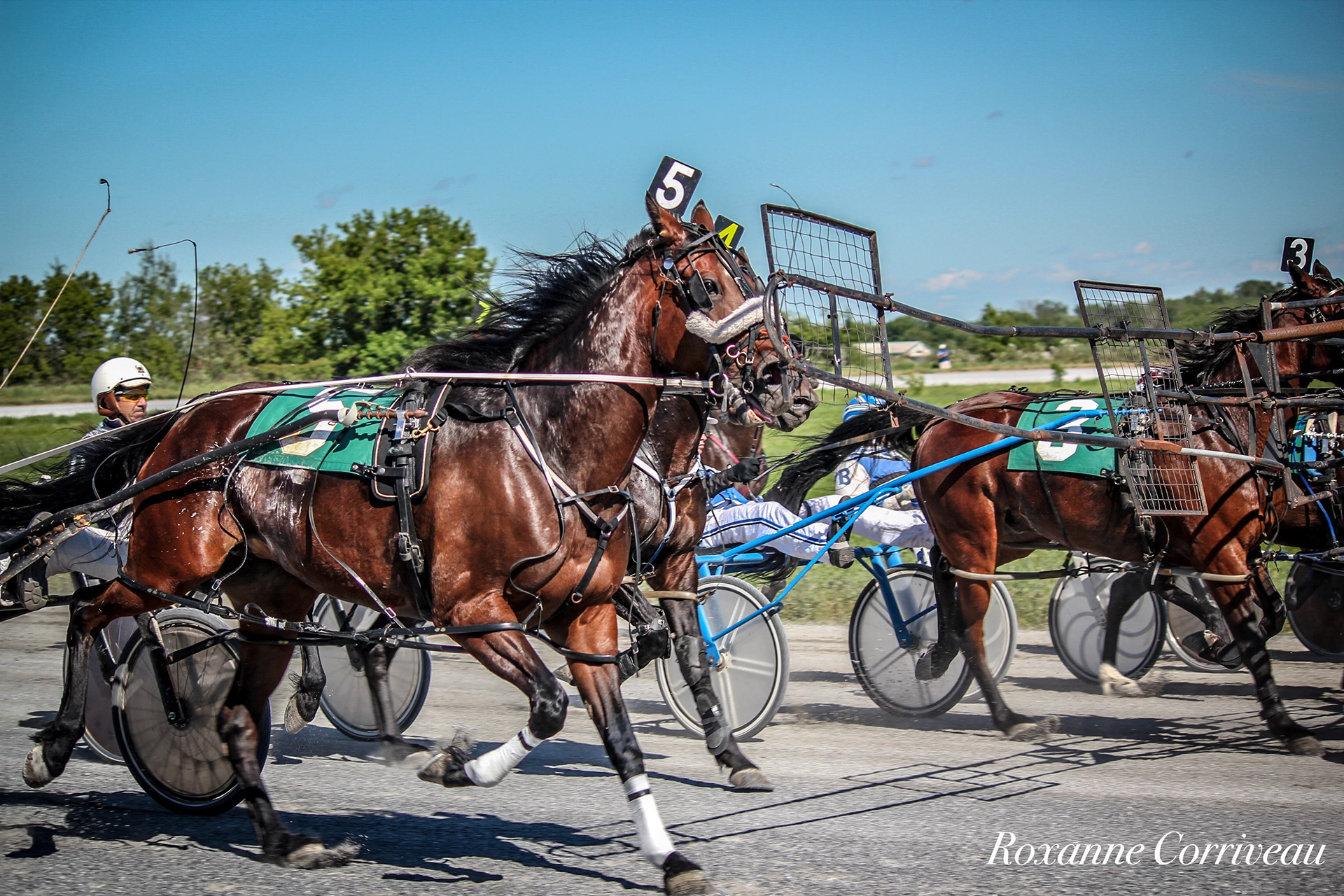 St-Hugues 7 juillet 2018 (201).jpg