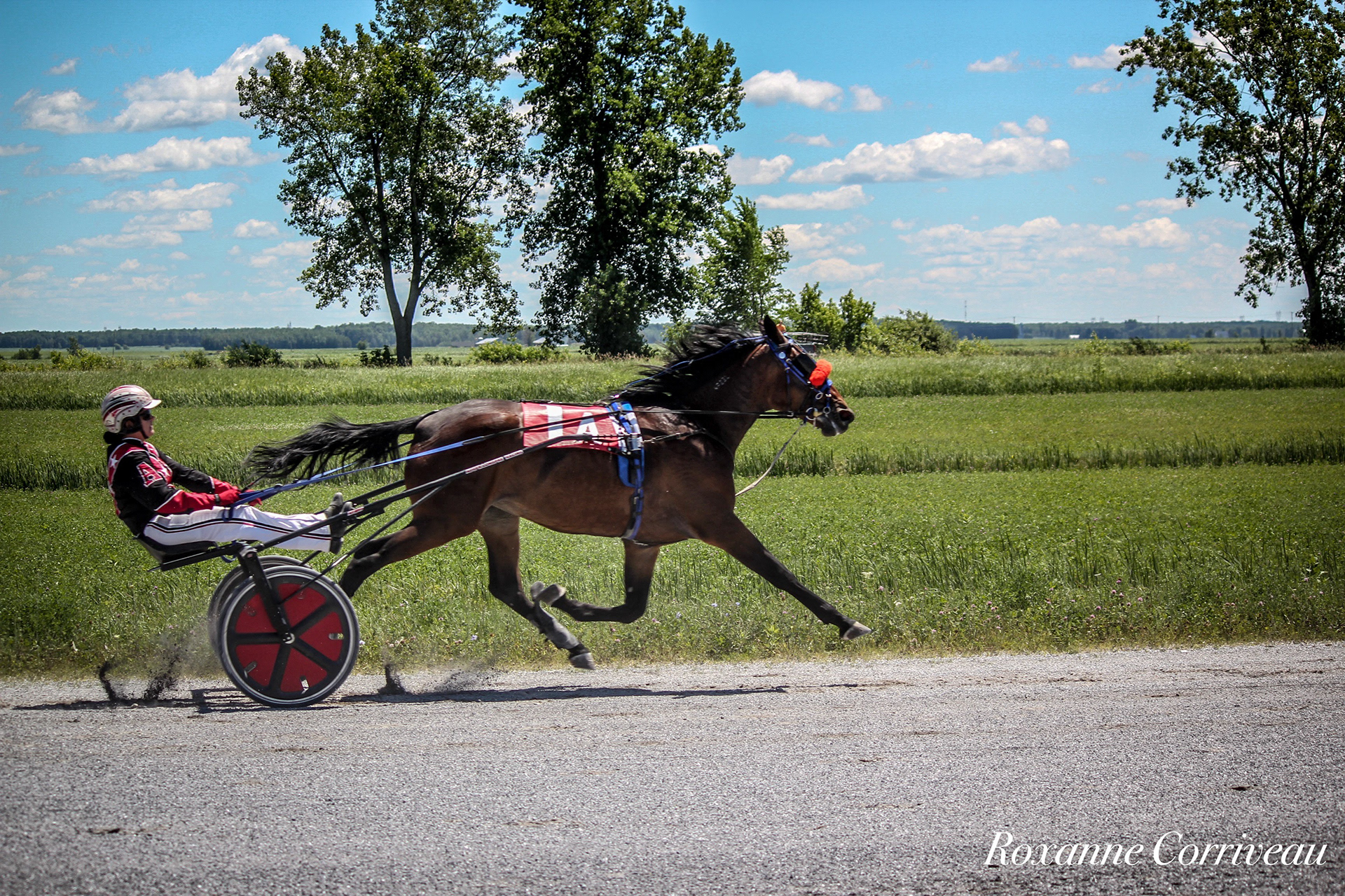 St-Hugues 7 juillet 2018 (31).jpg