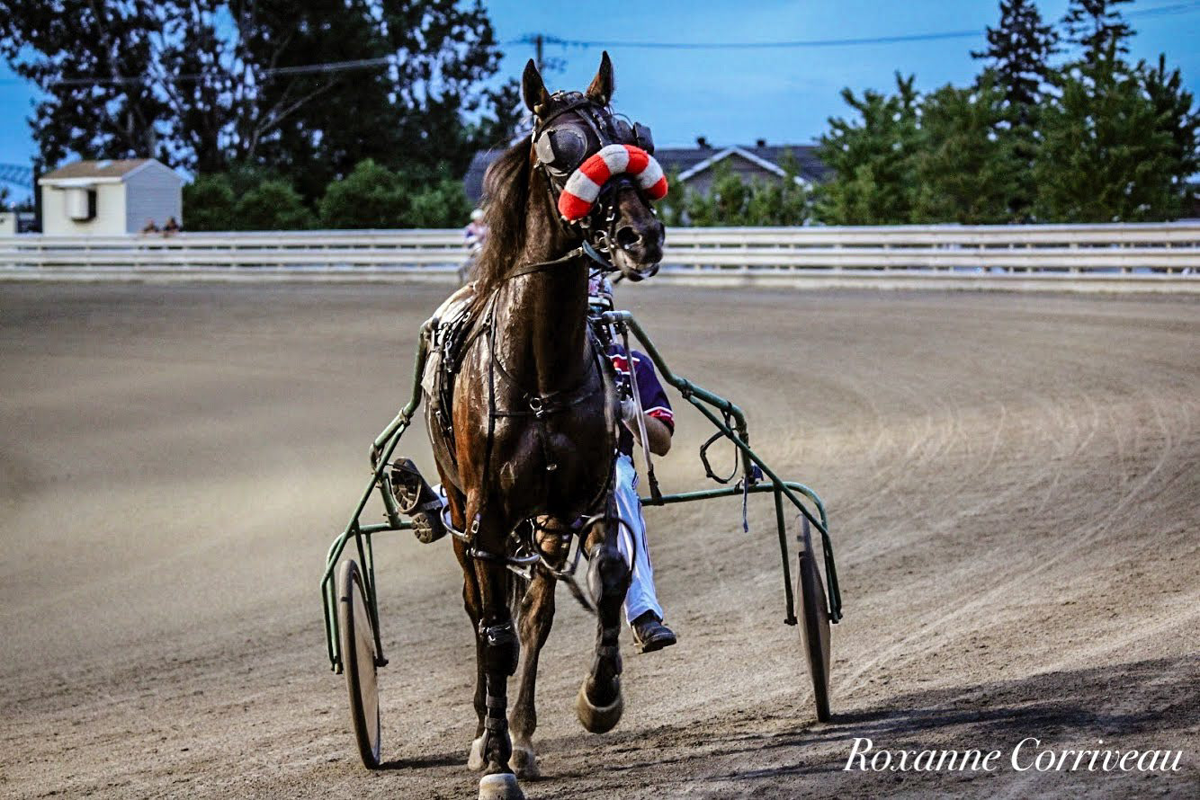 H3R 25 juillet 2018 (125)jpg