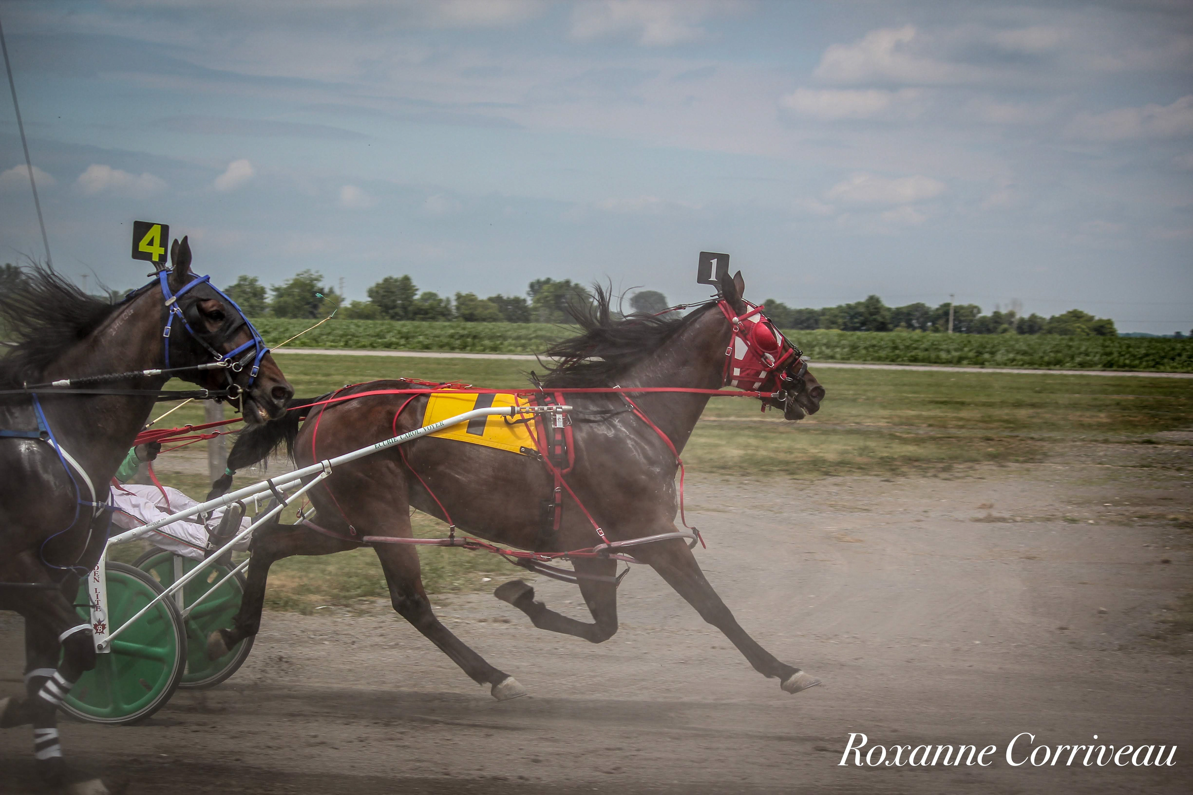 Ormstown 14 juillet 2018 (71).jpg