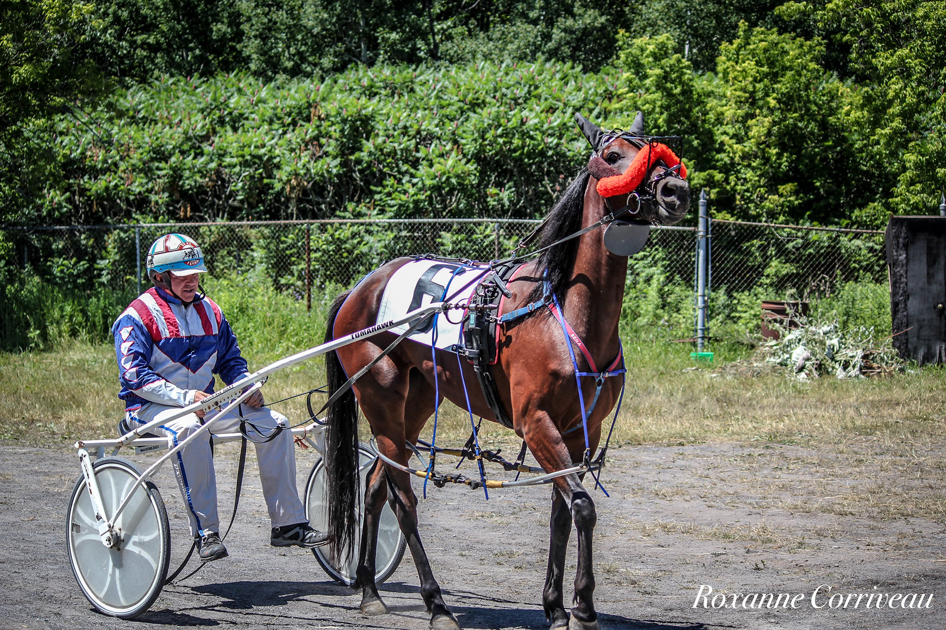St-Hugues 7 juillet 2018 (32).jpg