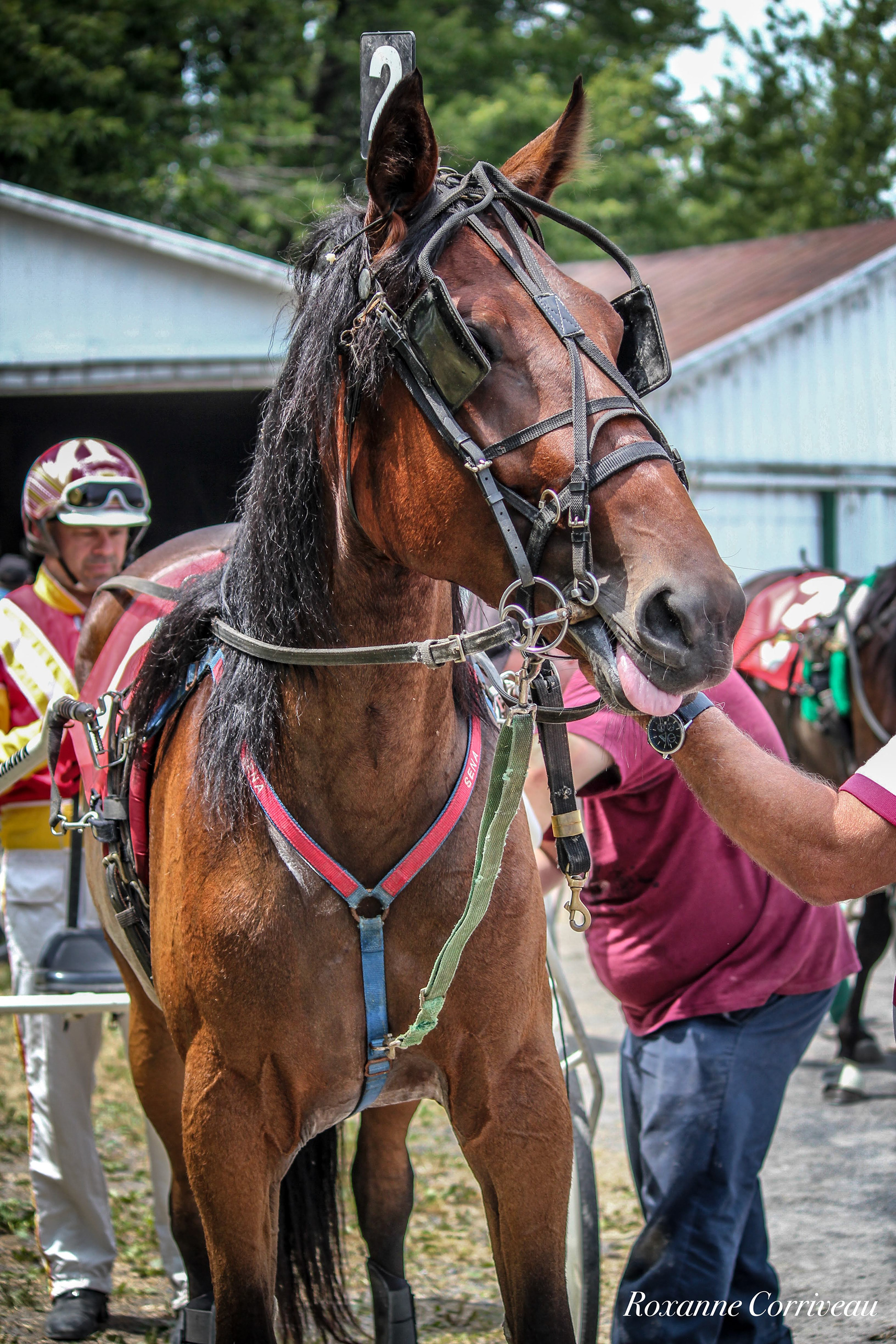 Ormstown 14 juillet 2018 (37).jpg