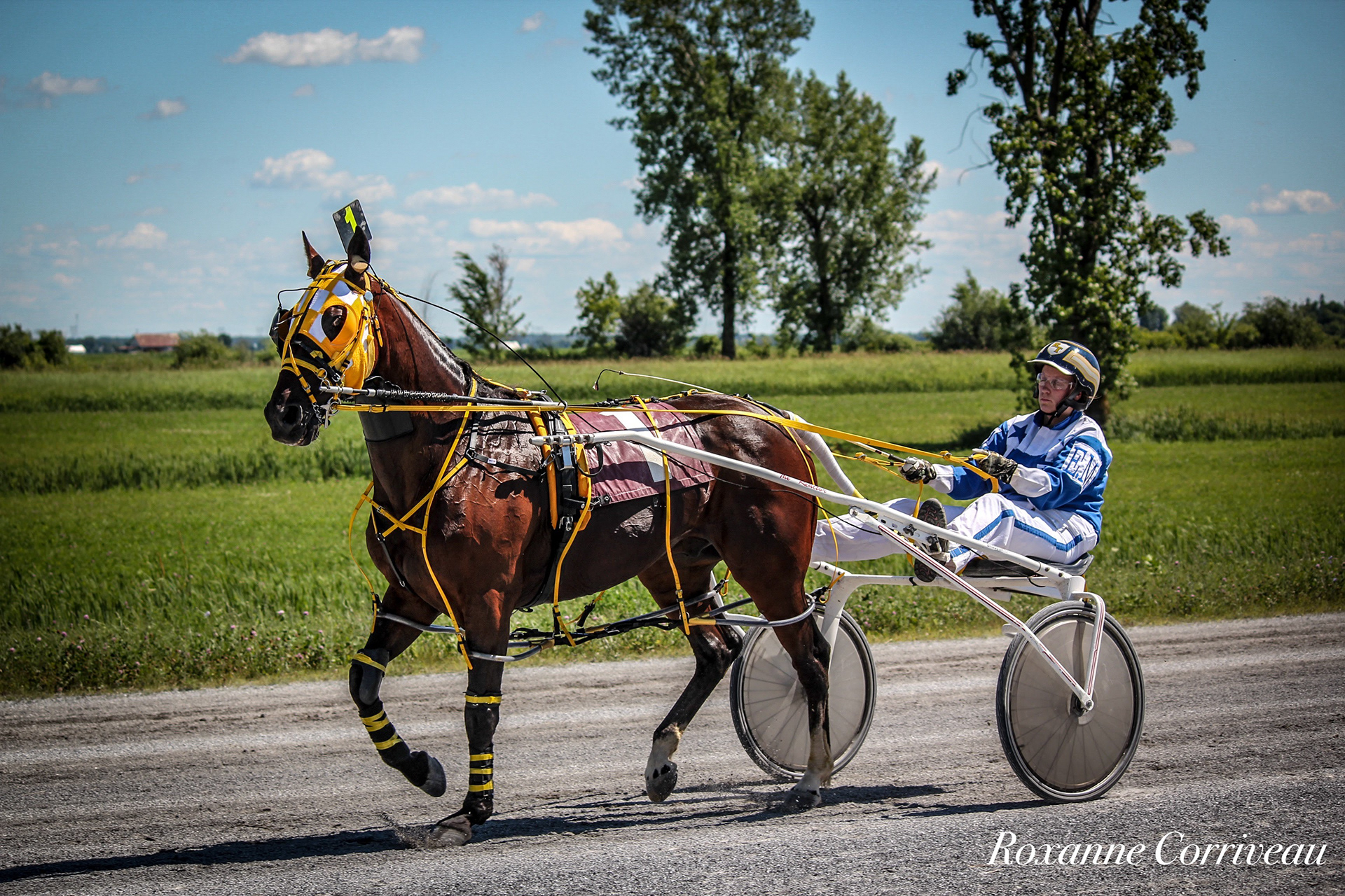 St-Hugues 7 juillet 2018 (136).jpg