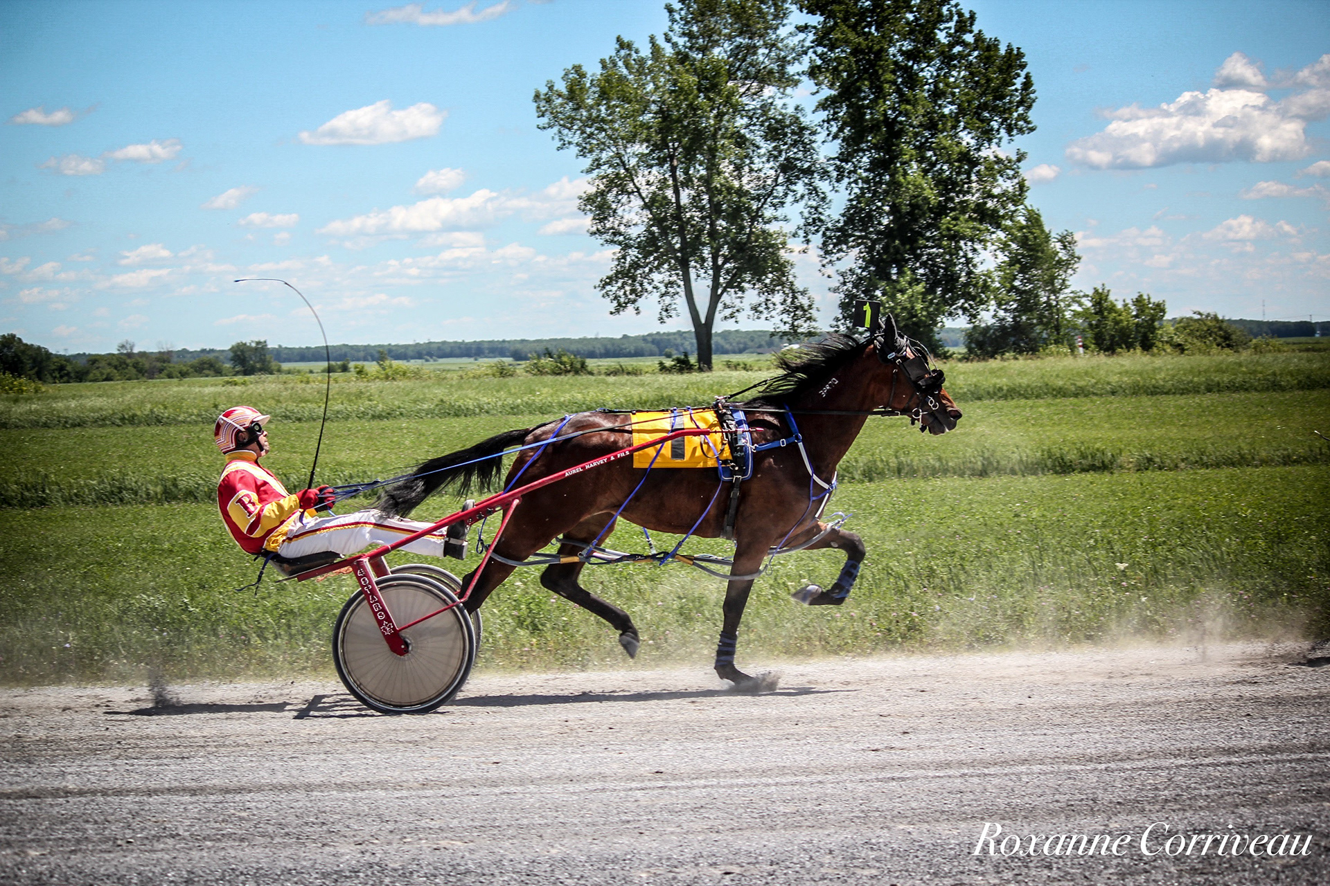 St-Hugues 7 juillet 2018 (68).jpg