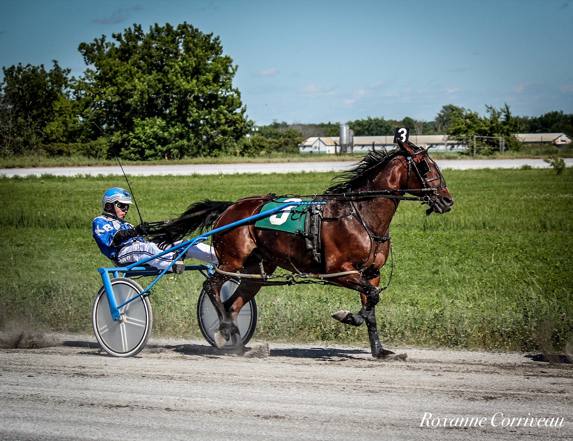 St-Hugues 7 juillet 2018 (206).jpg