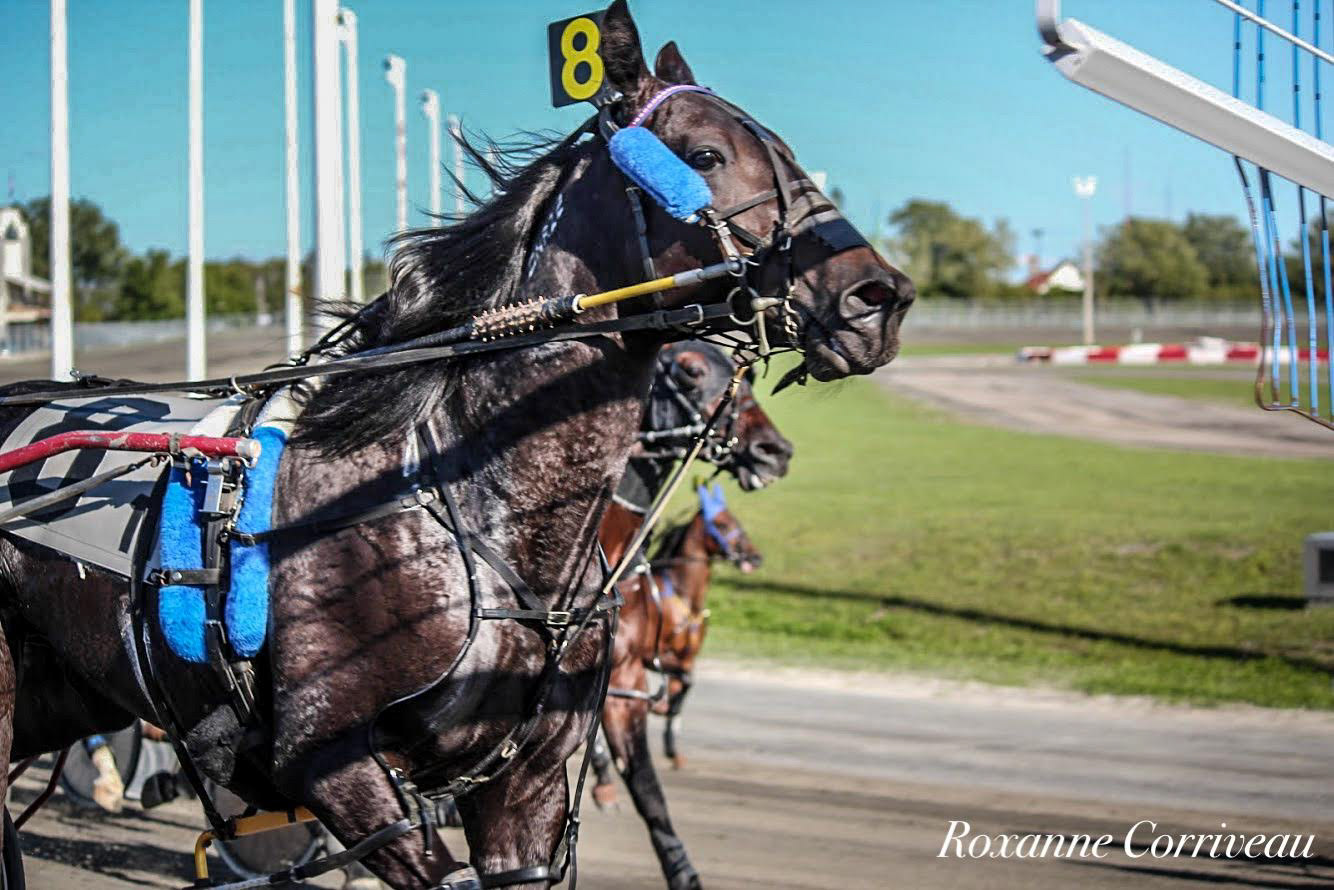 H3R 9 septembre 2018 (344).jpg