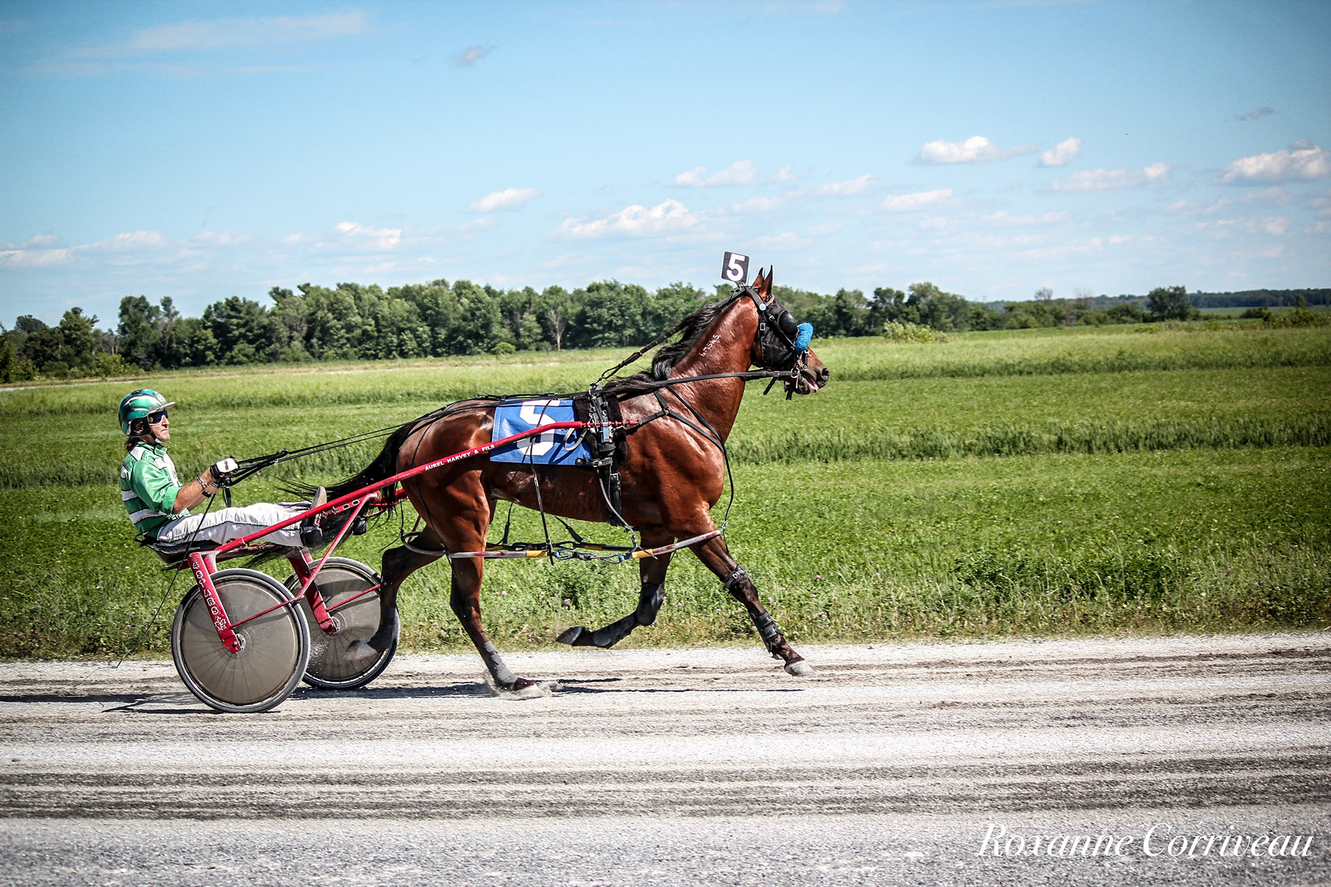 St-Hugues 7 juillet 2018 (168).jpg