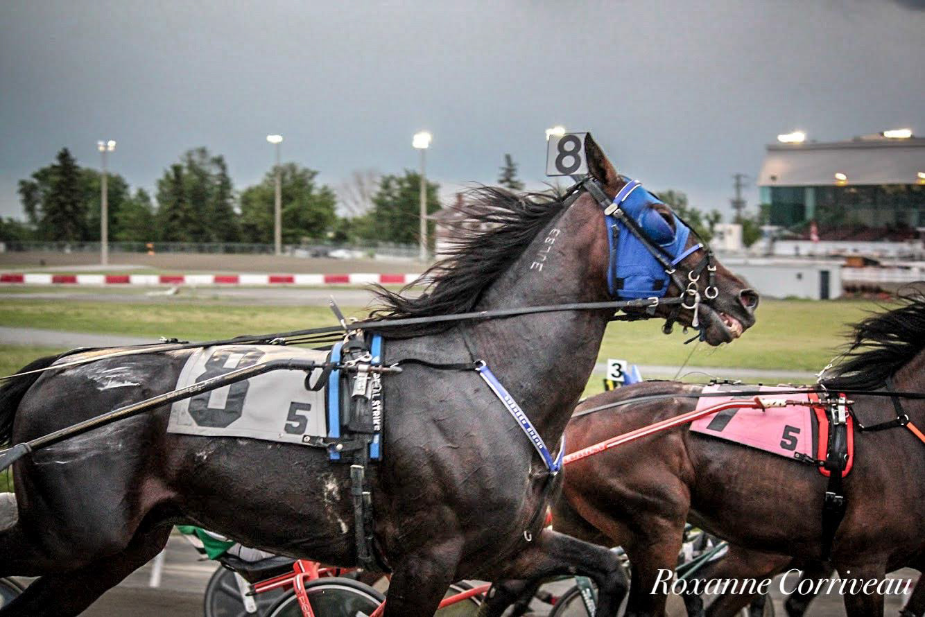 H3R 25 juillet 2018 (98)jpg