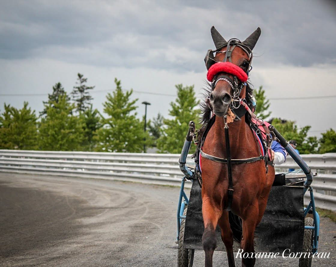 H3R 25 juillet 2018 (15)jpg