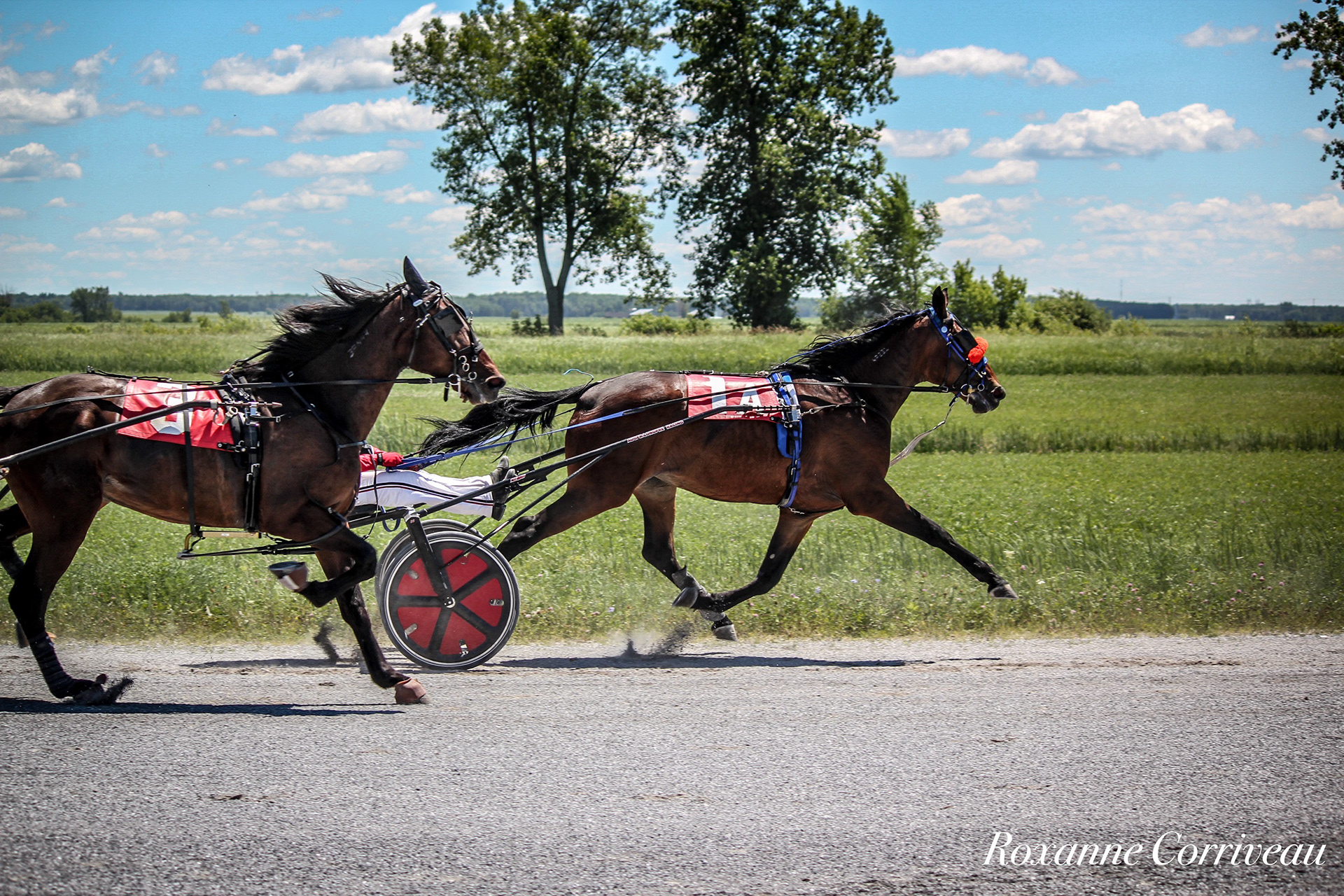 St-Hugues 7 juillet 2018 (25).jpg