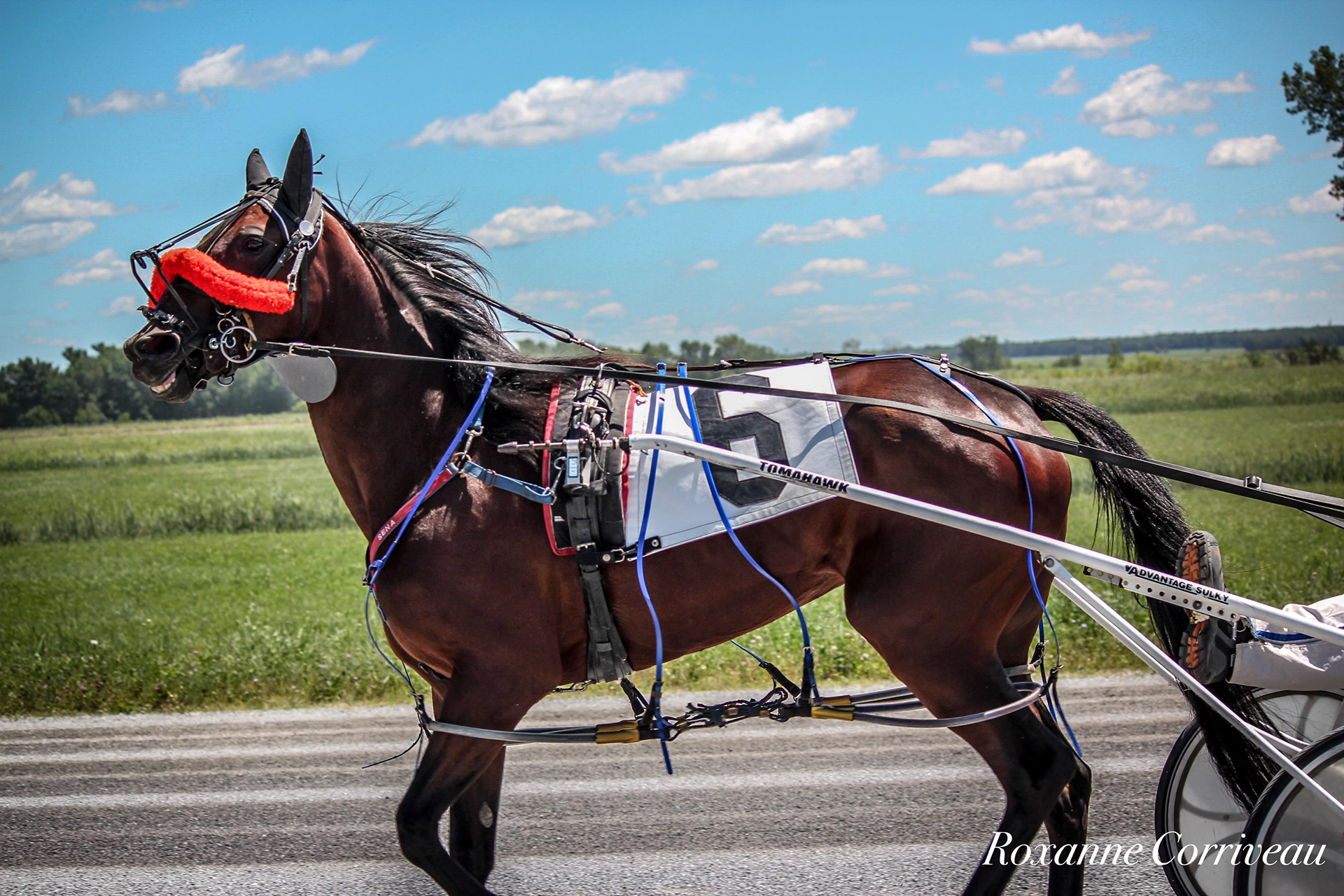 St-Hugues 7 juillet 2018 (34).jpg
