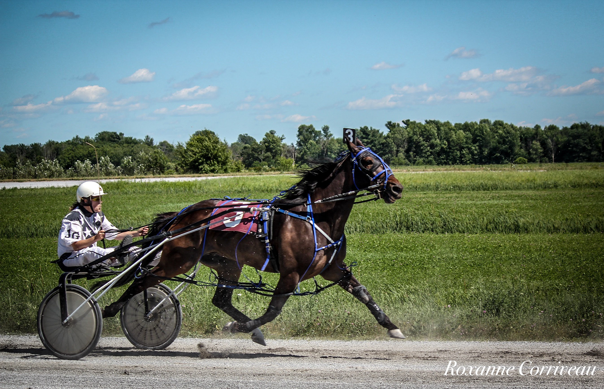 St-Hugues 7 juillet 2018 (147).jpg