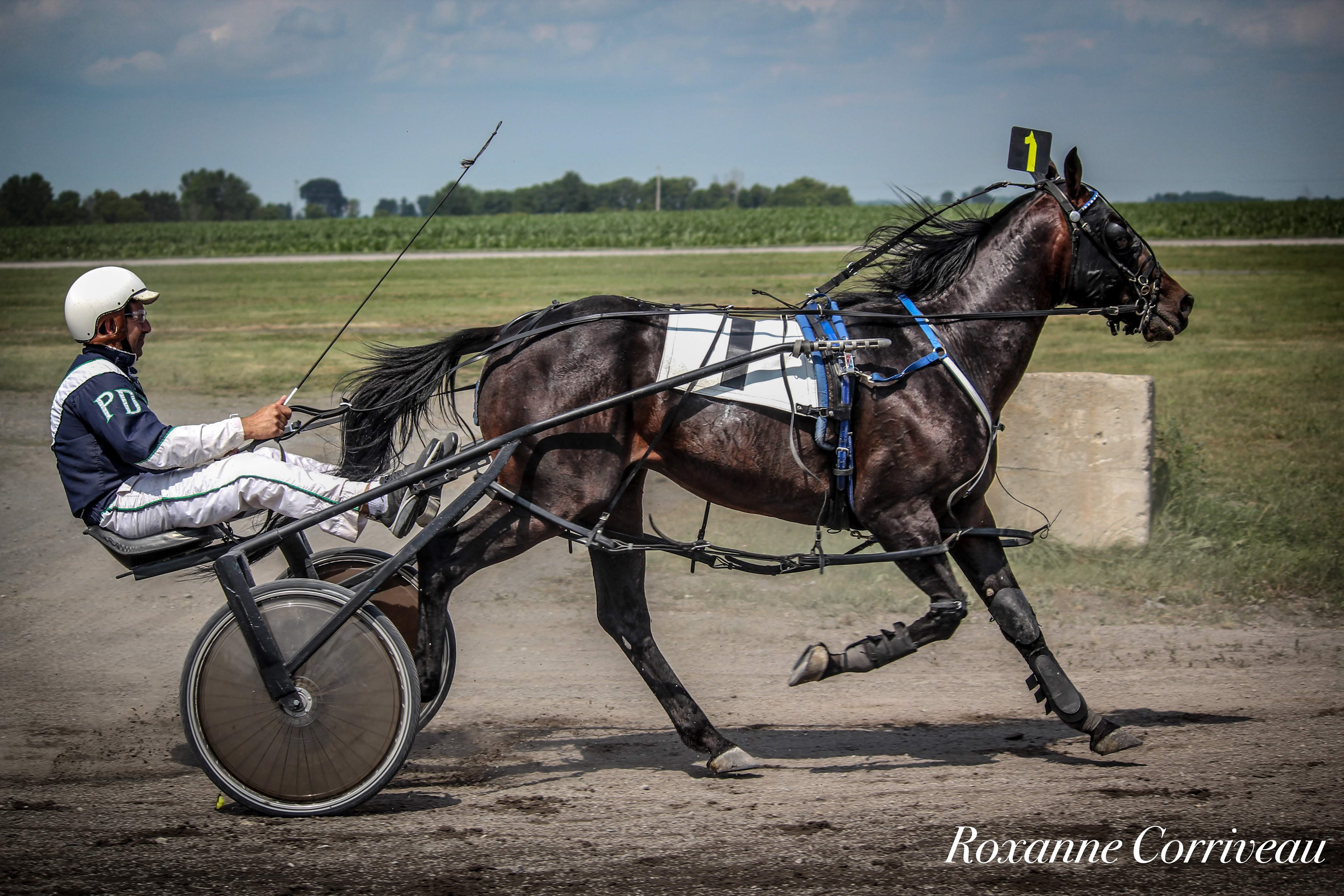 Ormstown 14 juillet 2018 (110).jpg