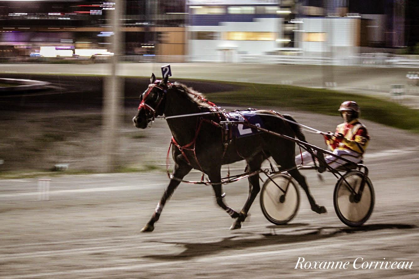 H3R 25 juillet 2018 (135)jpg