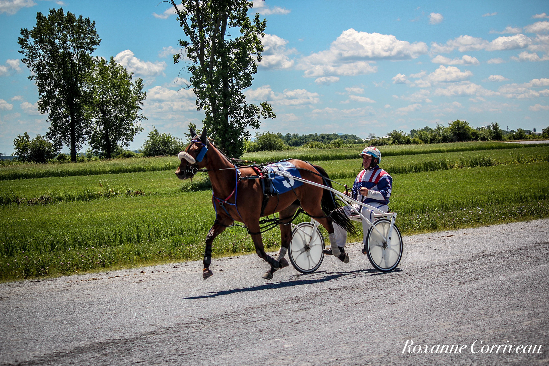 St-Hugues 7 juillet 2018 (18).jpg