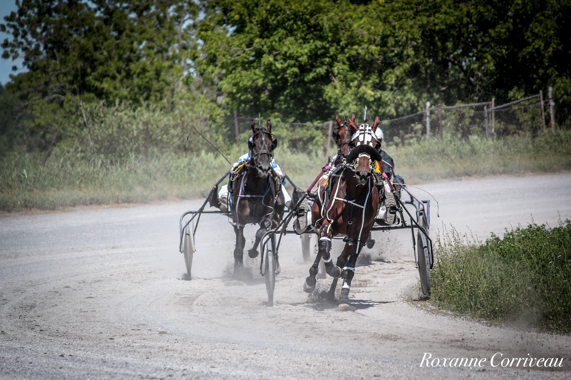 St-Hugues 7 juillet 2018 (155).jpg