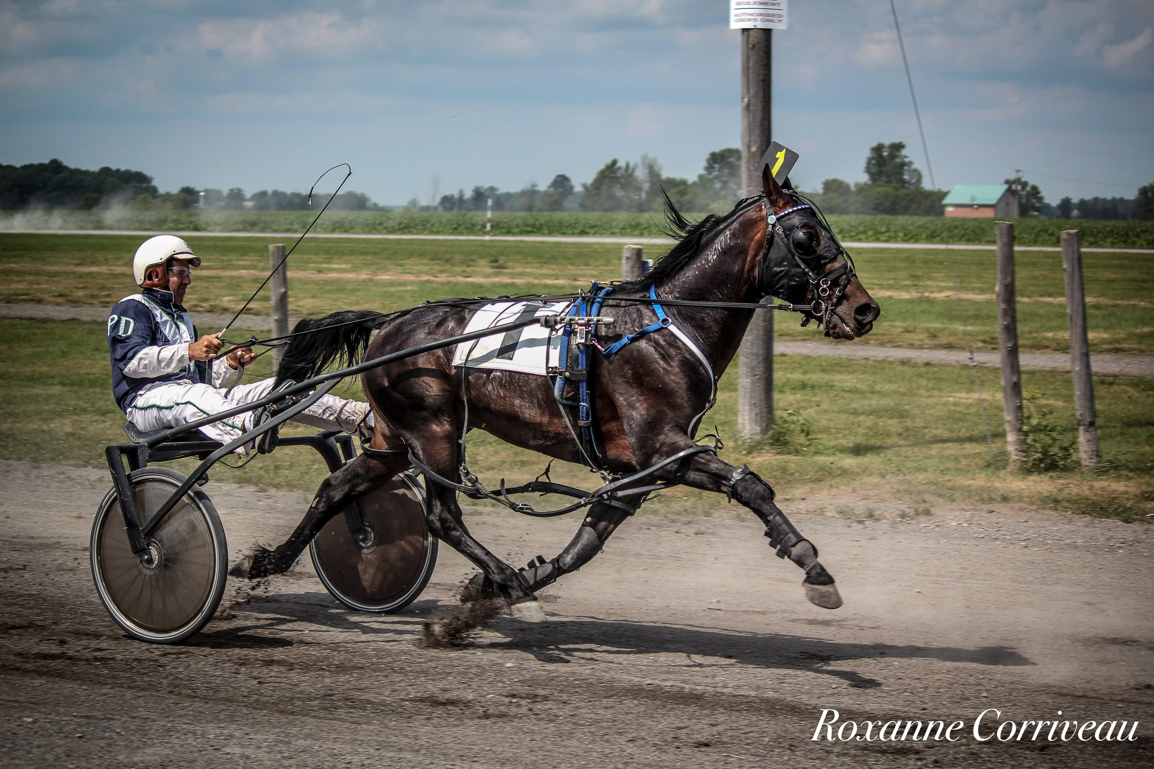 Ormstown 14 juillet 2018 (105).jpg