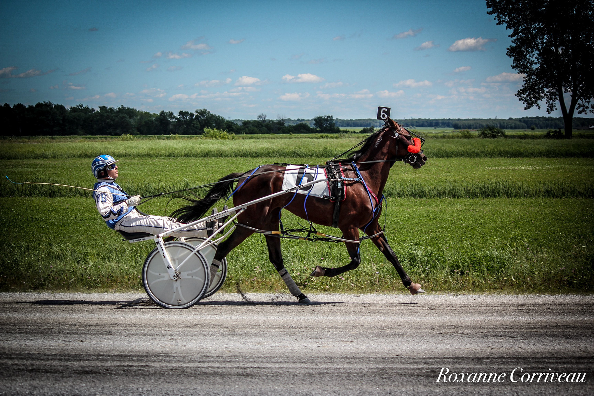 St-Hugues 7 juillet 2018 (111).jpg