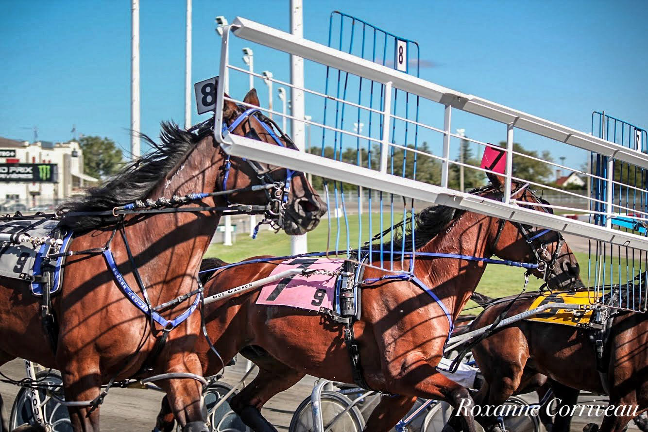 H3R 9 septembre 2018 (290).jpg