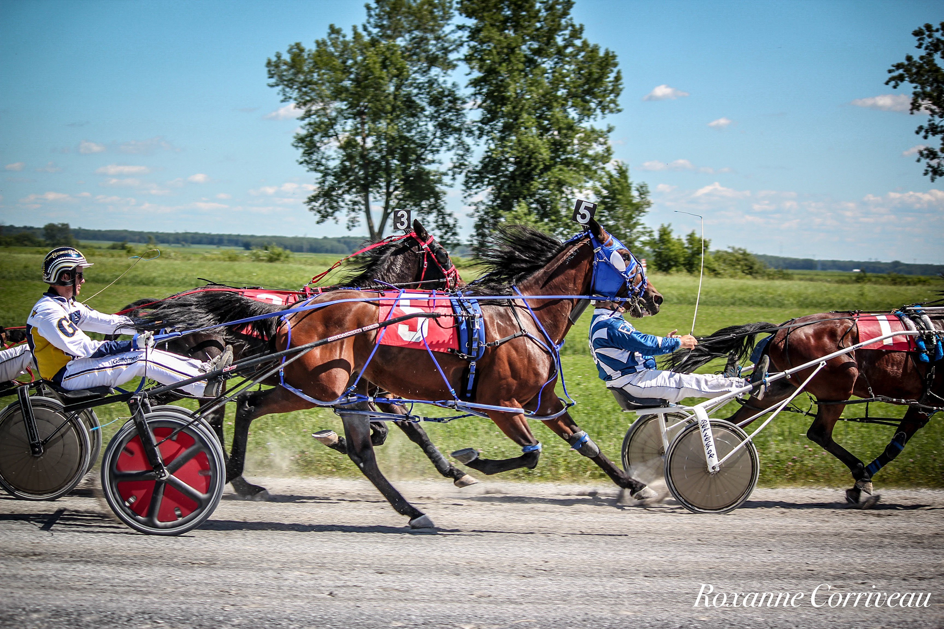 St-Hugues 7 juillet 2018 (124).jpg