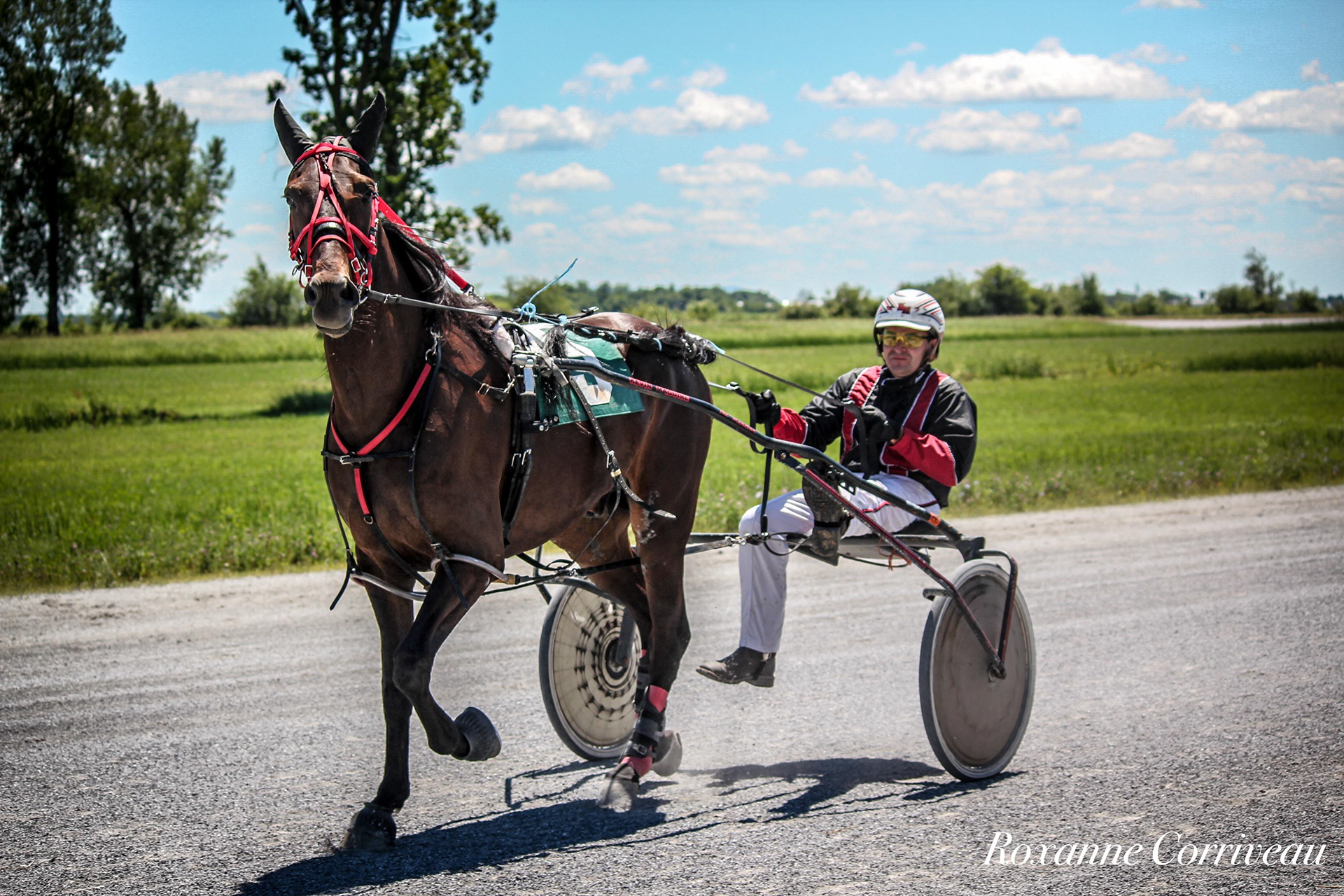 St-Hugues 7 juillet 2018 (52).jpg