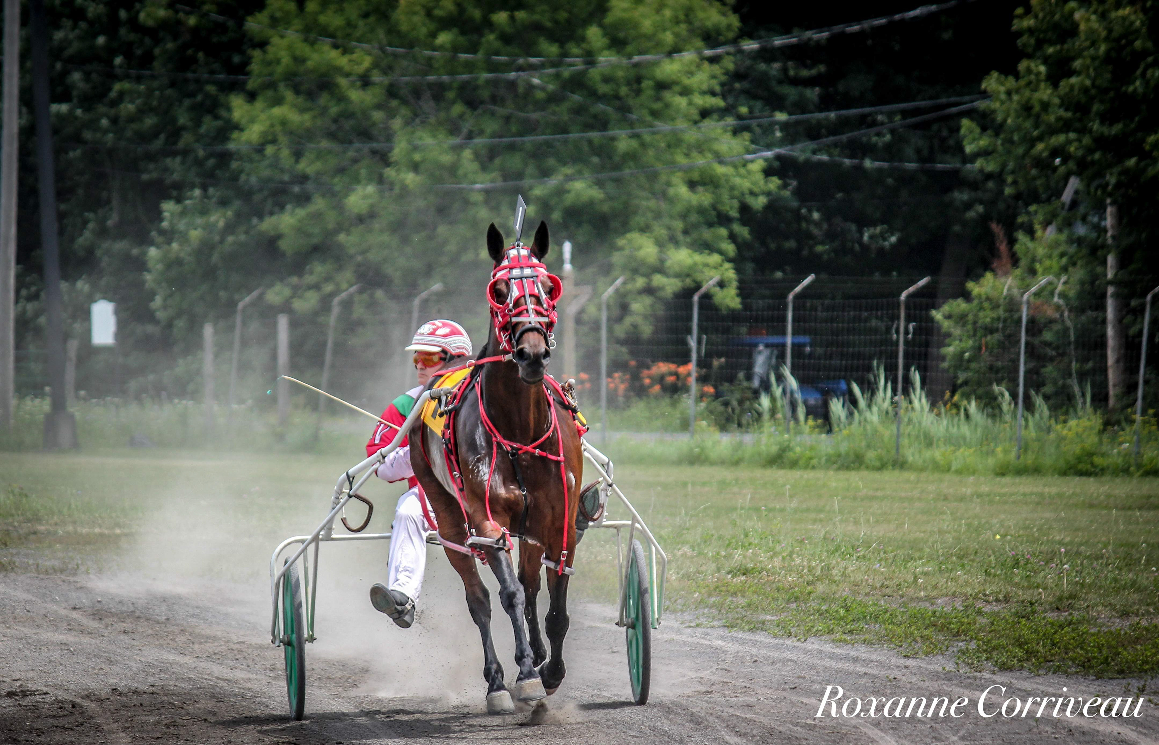 Ormstown 14 juillet 2018 (69).jpg