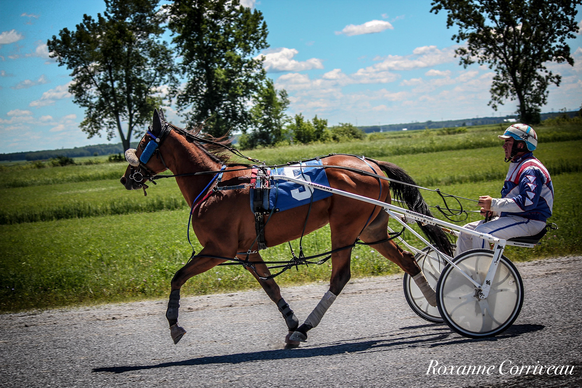 St-Hugues 7 juillet 2018 (16).jpg